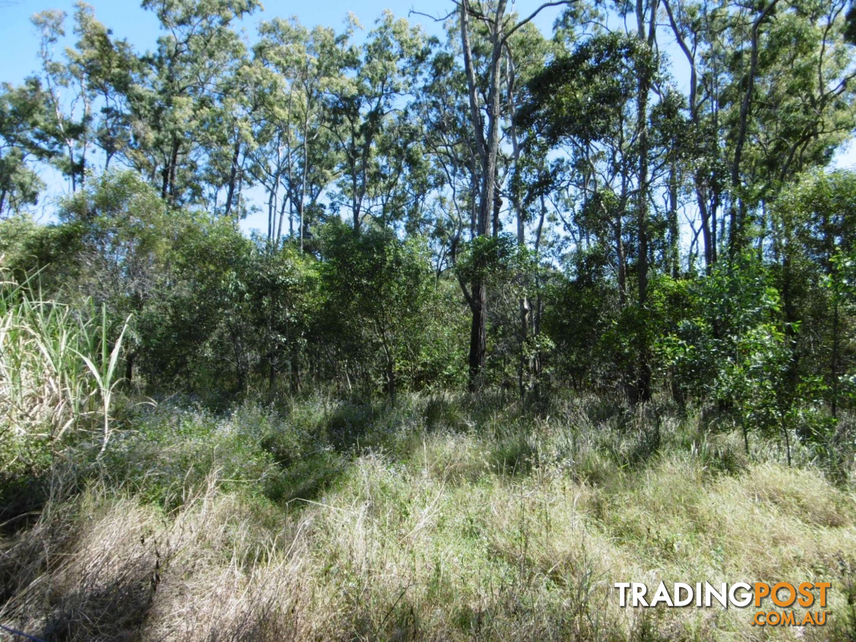 Lot 51 Mullers Road Redridge QLD 4660