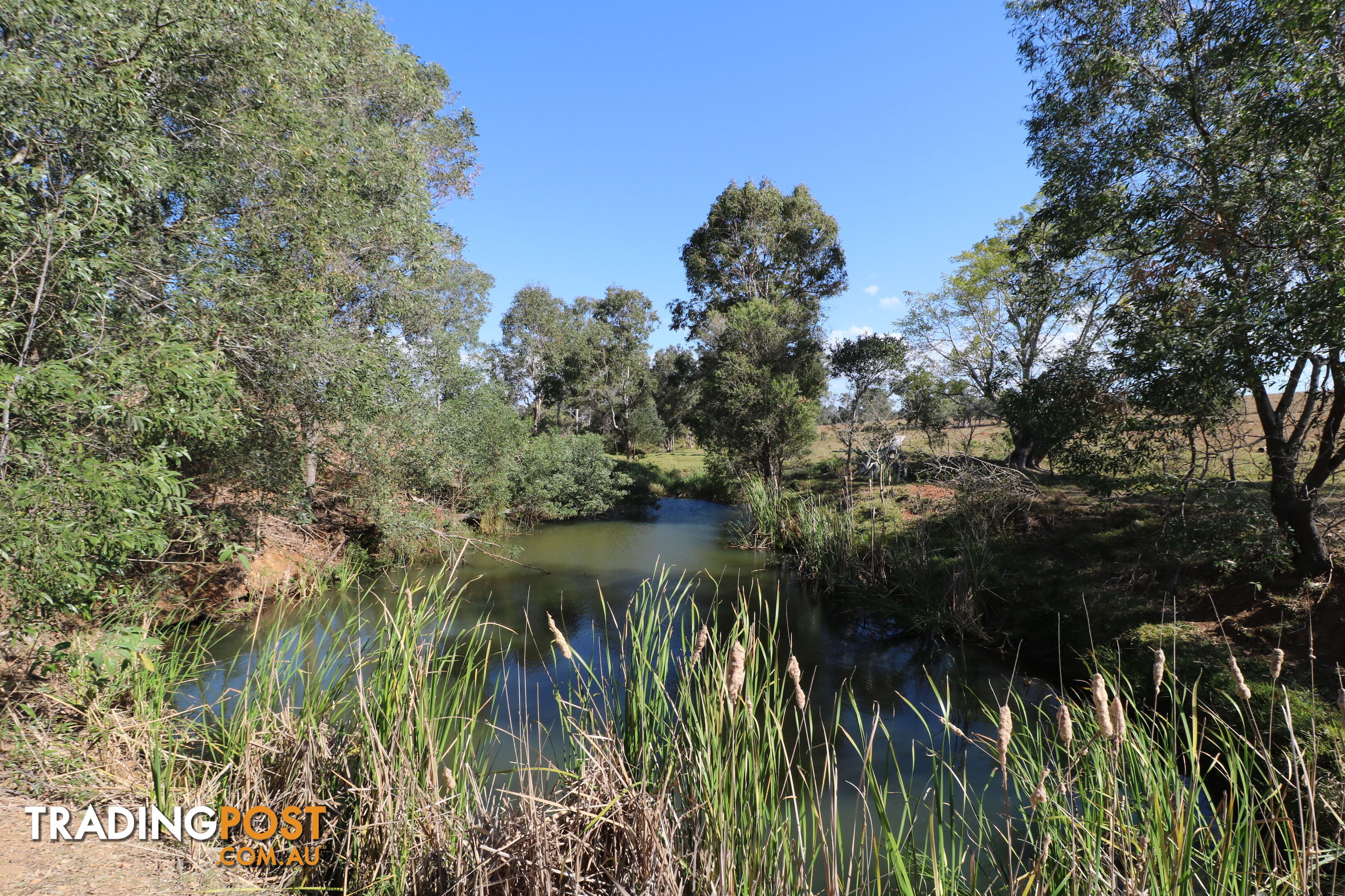 Lots 1 - 5 South Isis Road South Isis QLD 4660