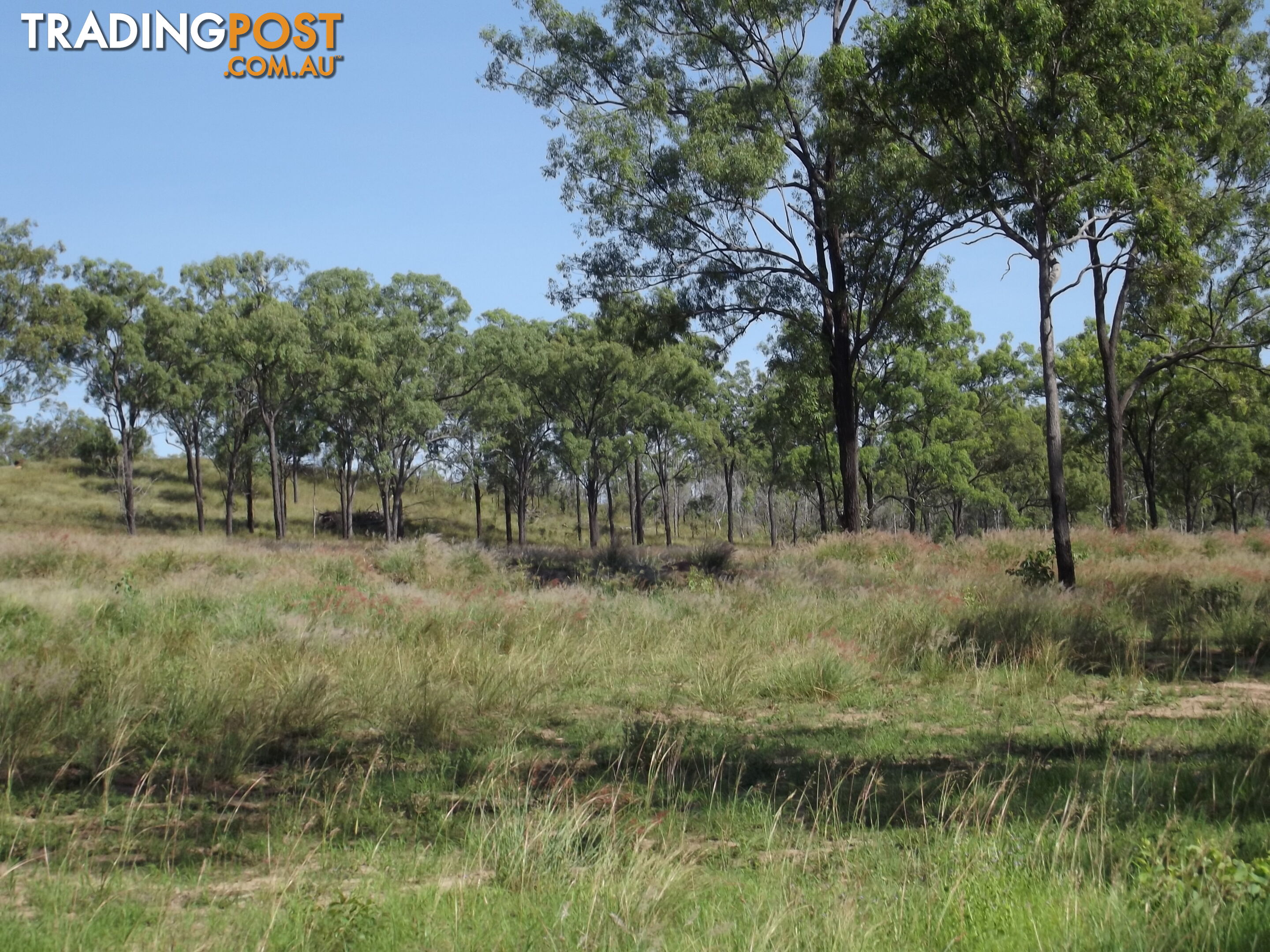 Lot 156 Grills Rd Dallarnil QLD 4621