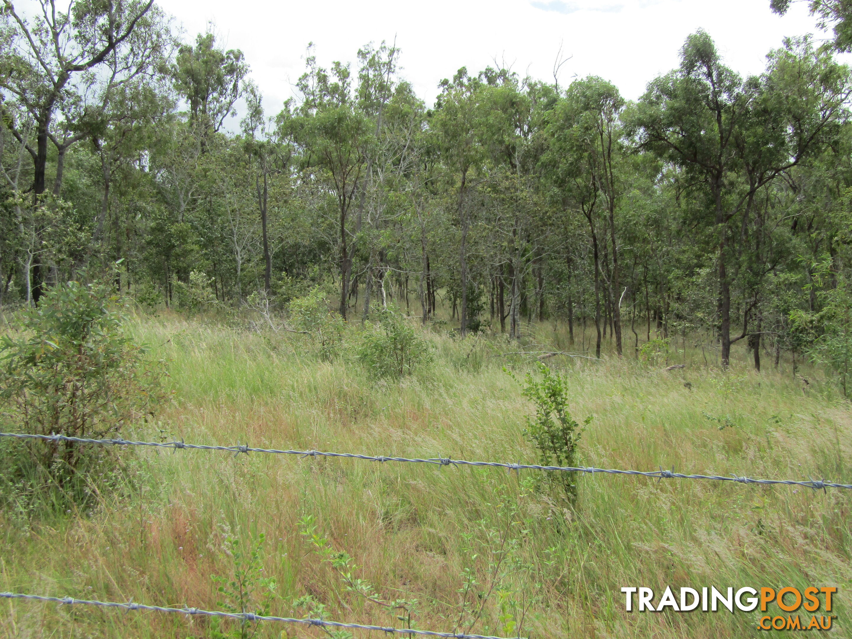 Lot 156 Grills Rd Dallarnil QLD 4621