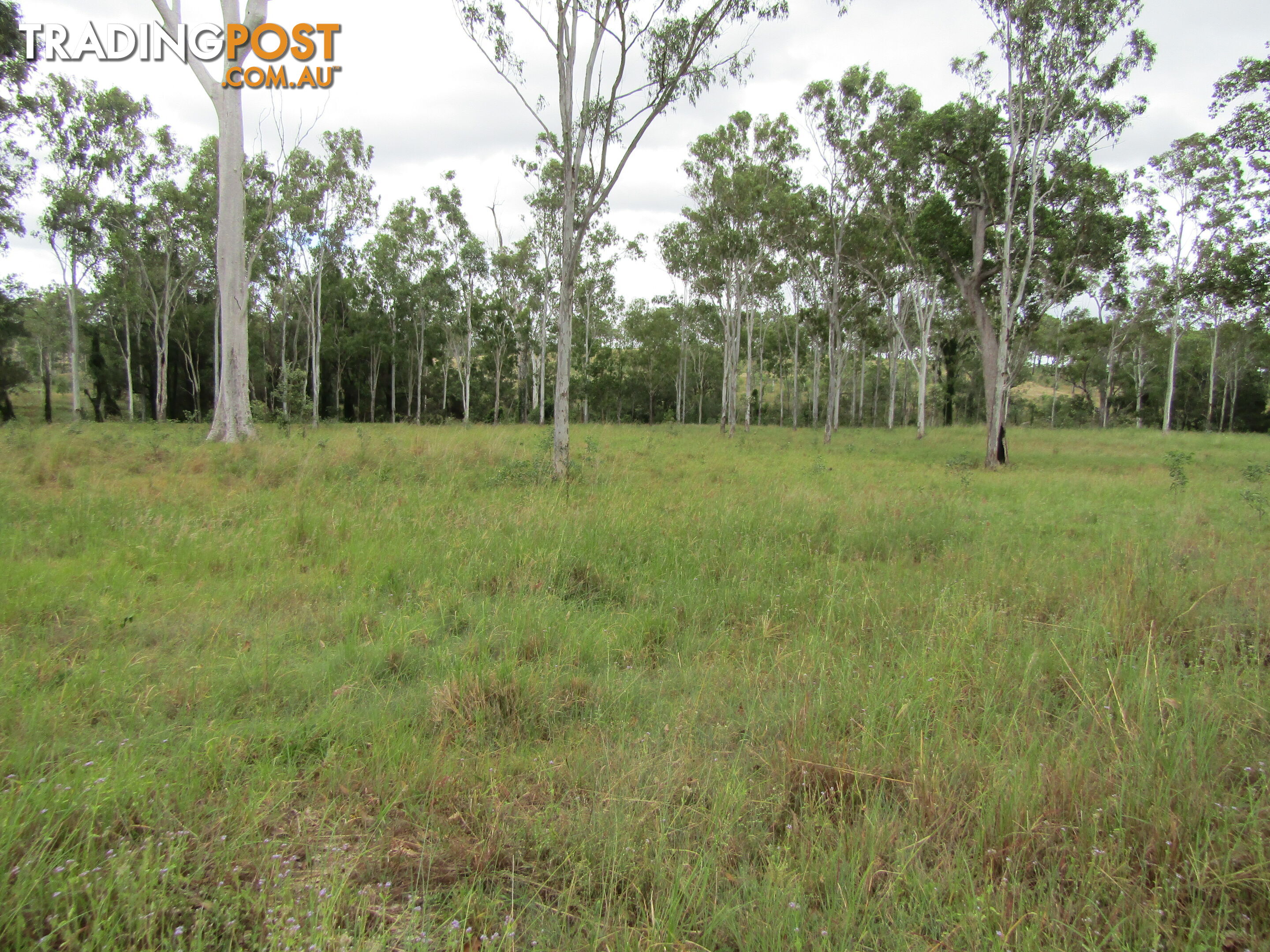 Lot 156 Grills Rd Dallarnil QLD 4621