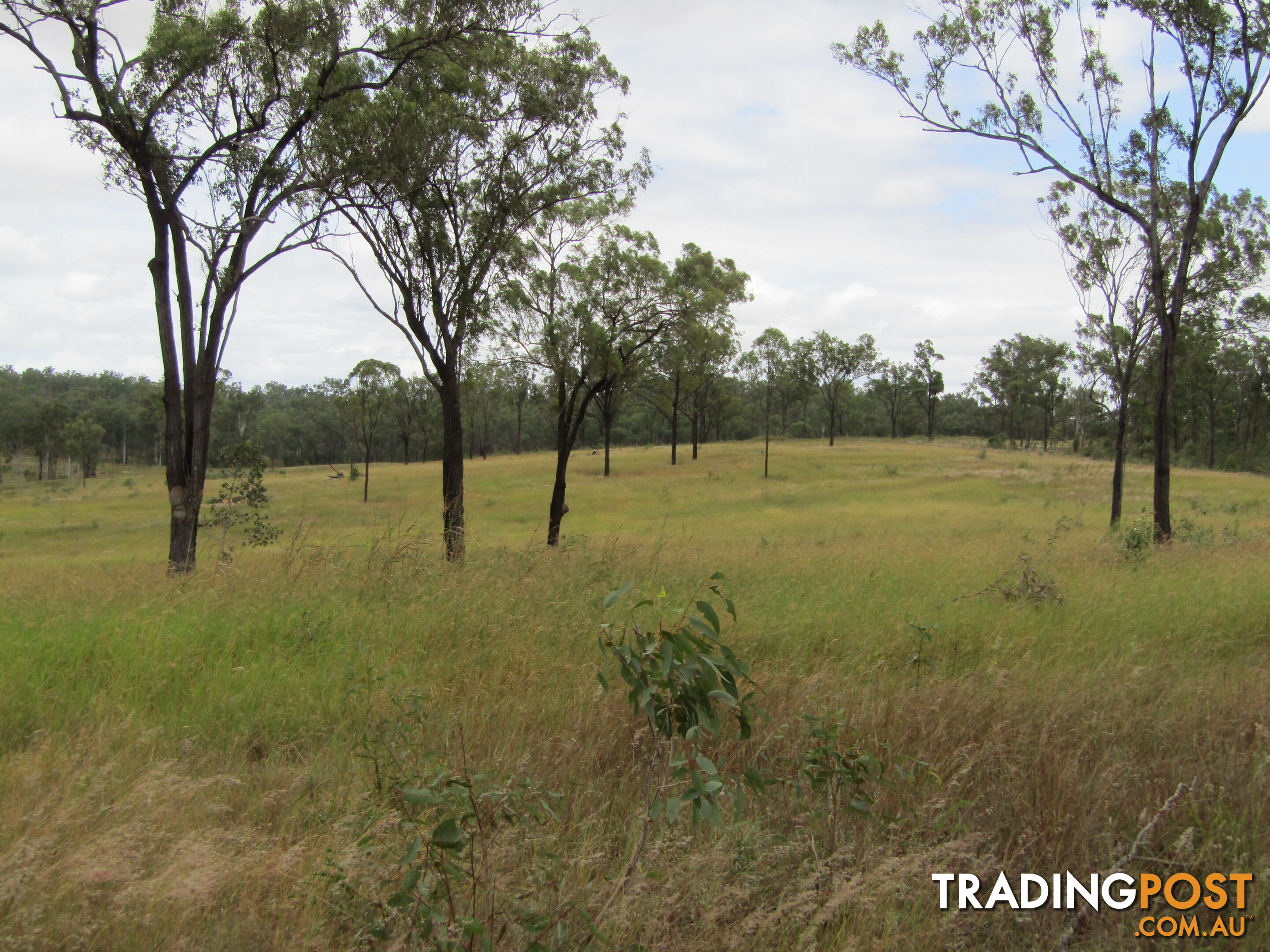 Lot 156 Grills Rd Dallarnil QLD 4621