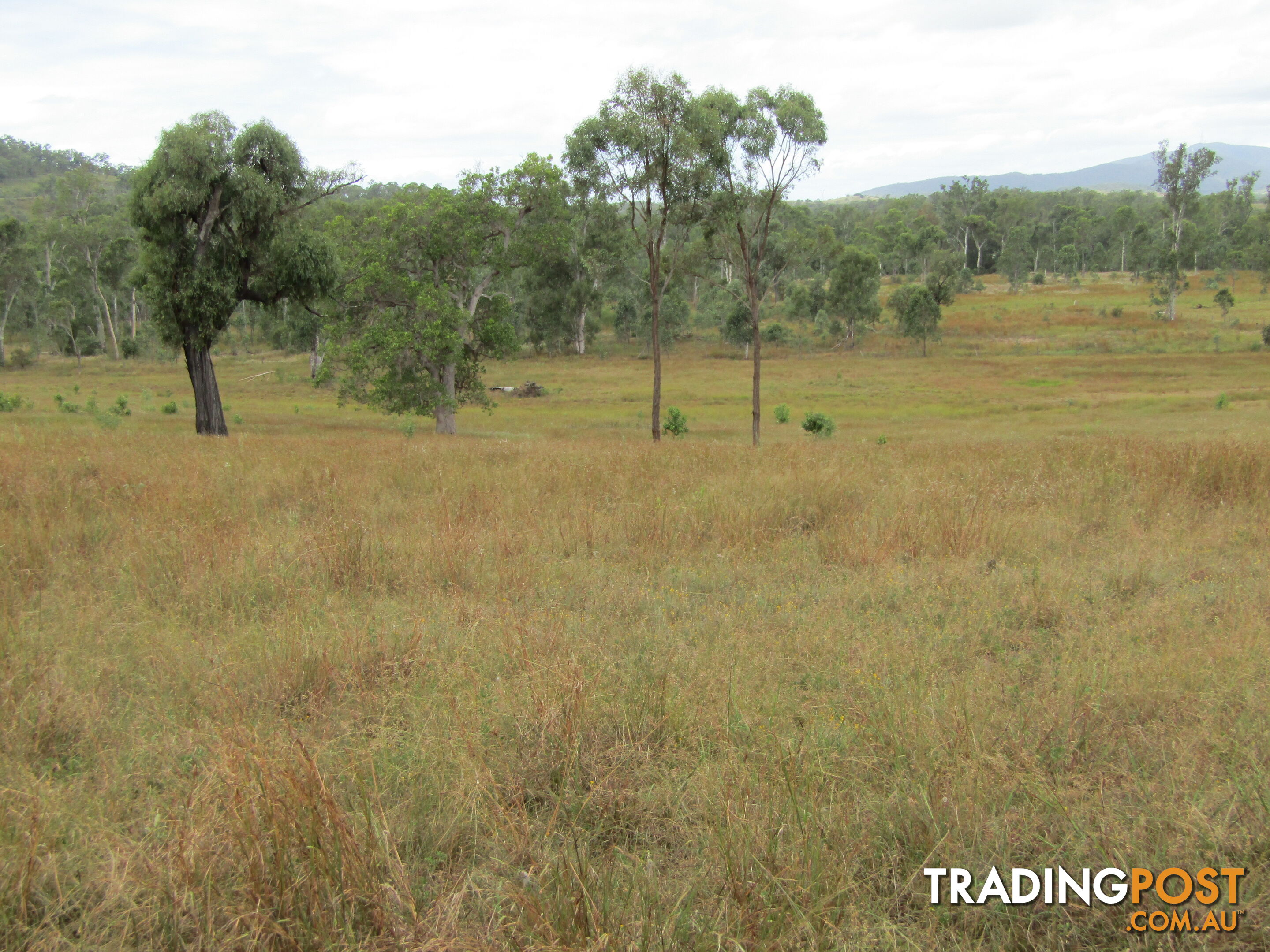 Lot 156 Grills Rd Dallarnil QLD 4621