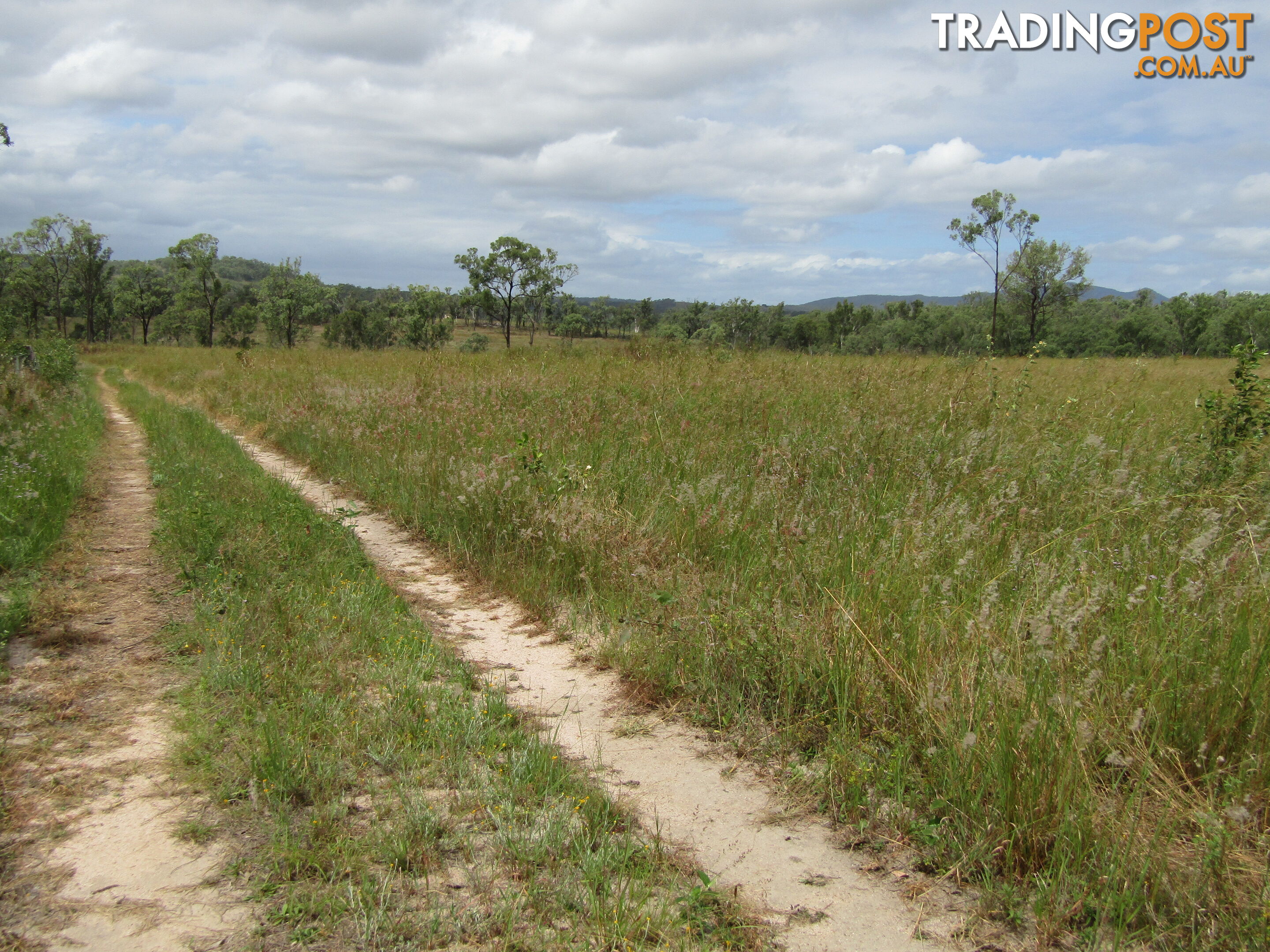 Lot 156 Grills Rd Dallarnil QLD 4621