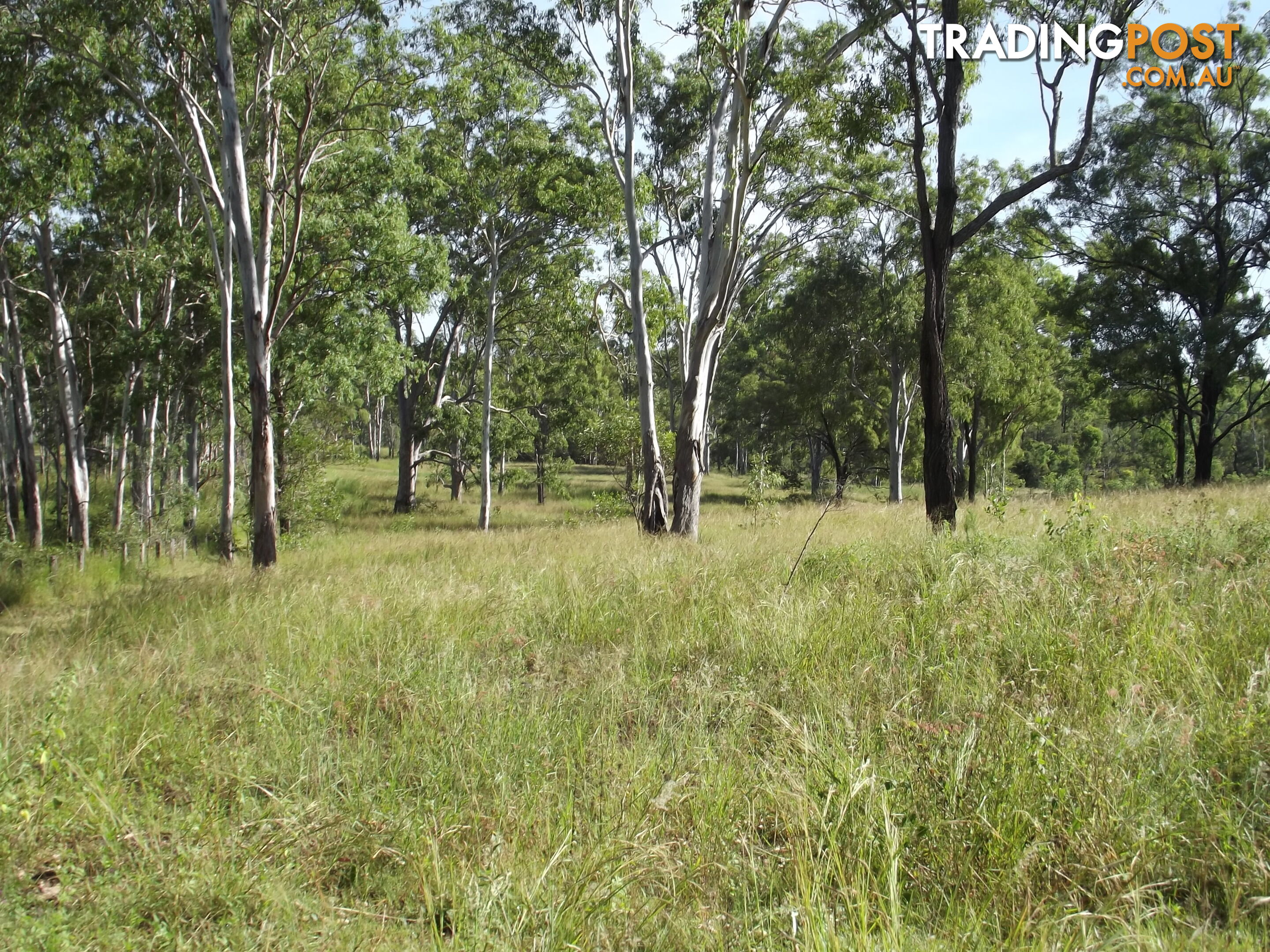 Lot 156 Grills Rd Dallarnil QLD 4621