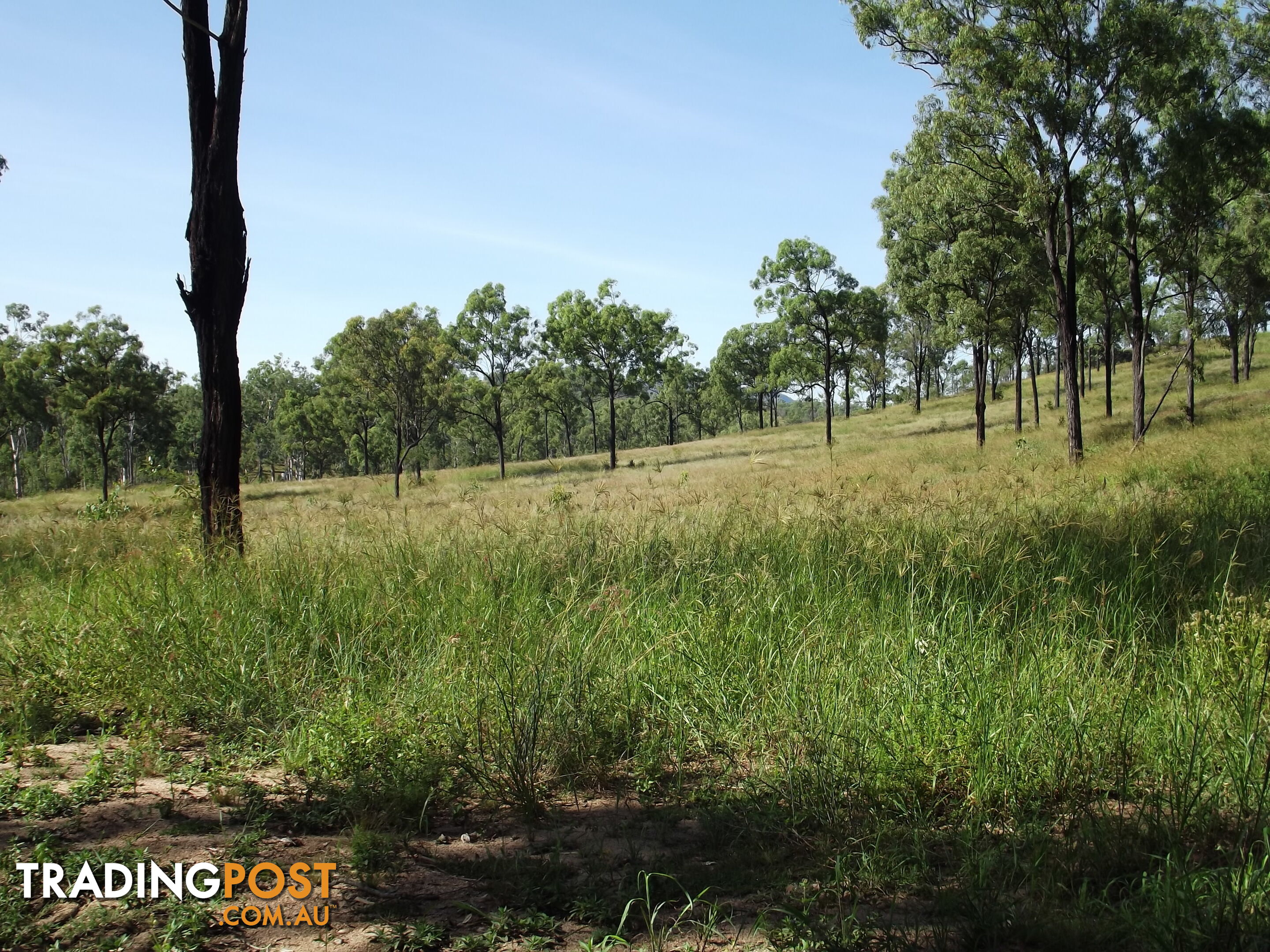 Lot 156 Grills Rd Dallarnil QLD 4621