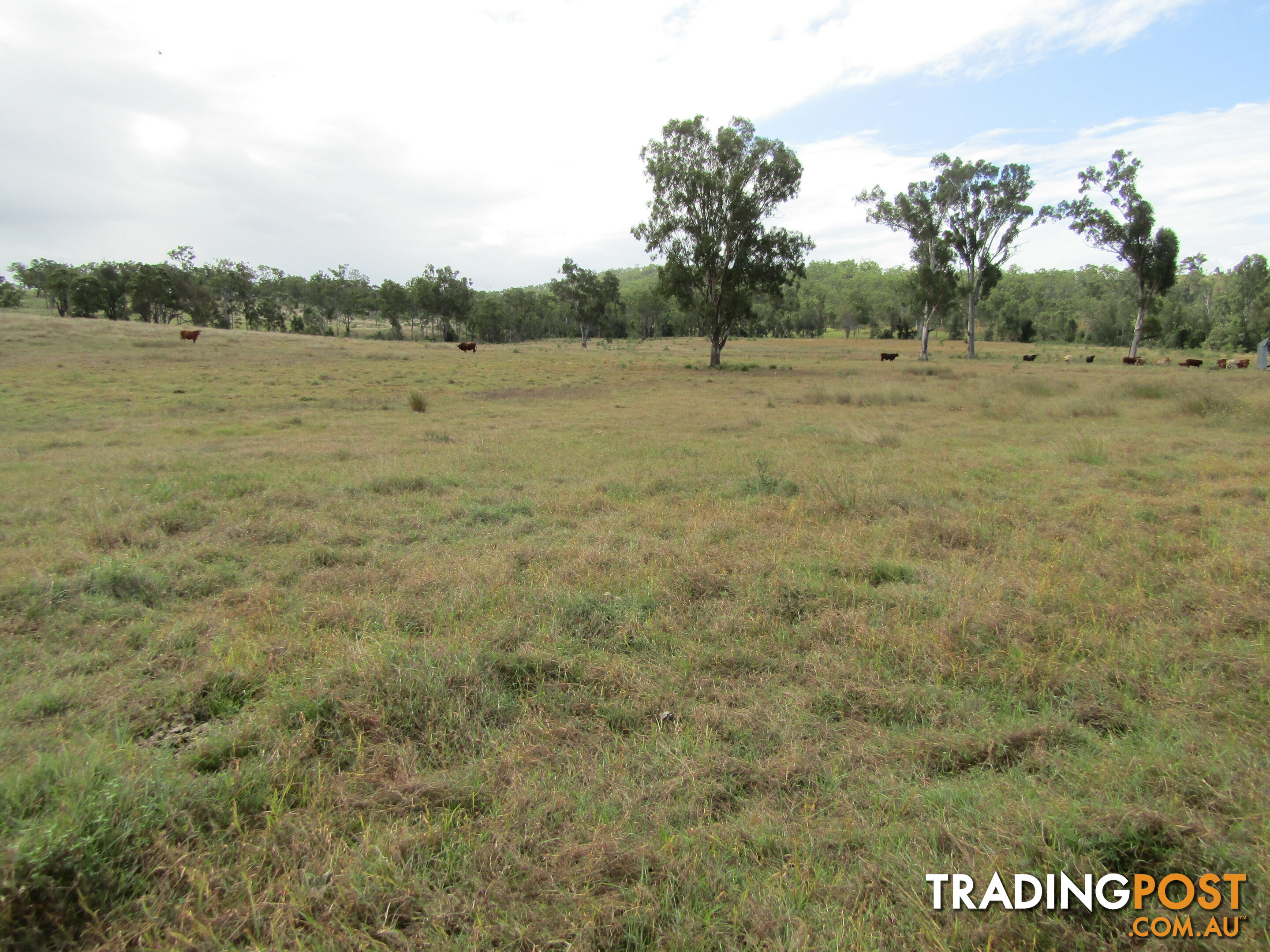 Lot 156 Grills Rd Dallarnil QLD 4621