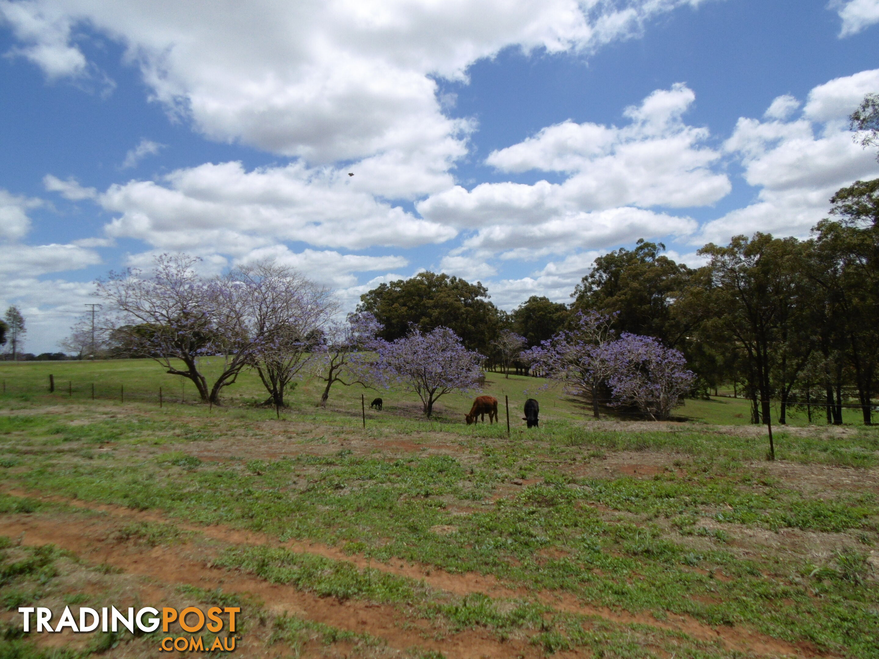 146 Old Creek Rd Childers QLD 4660