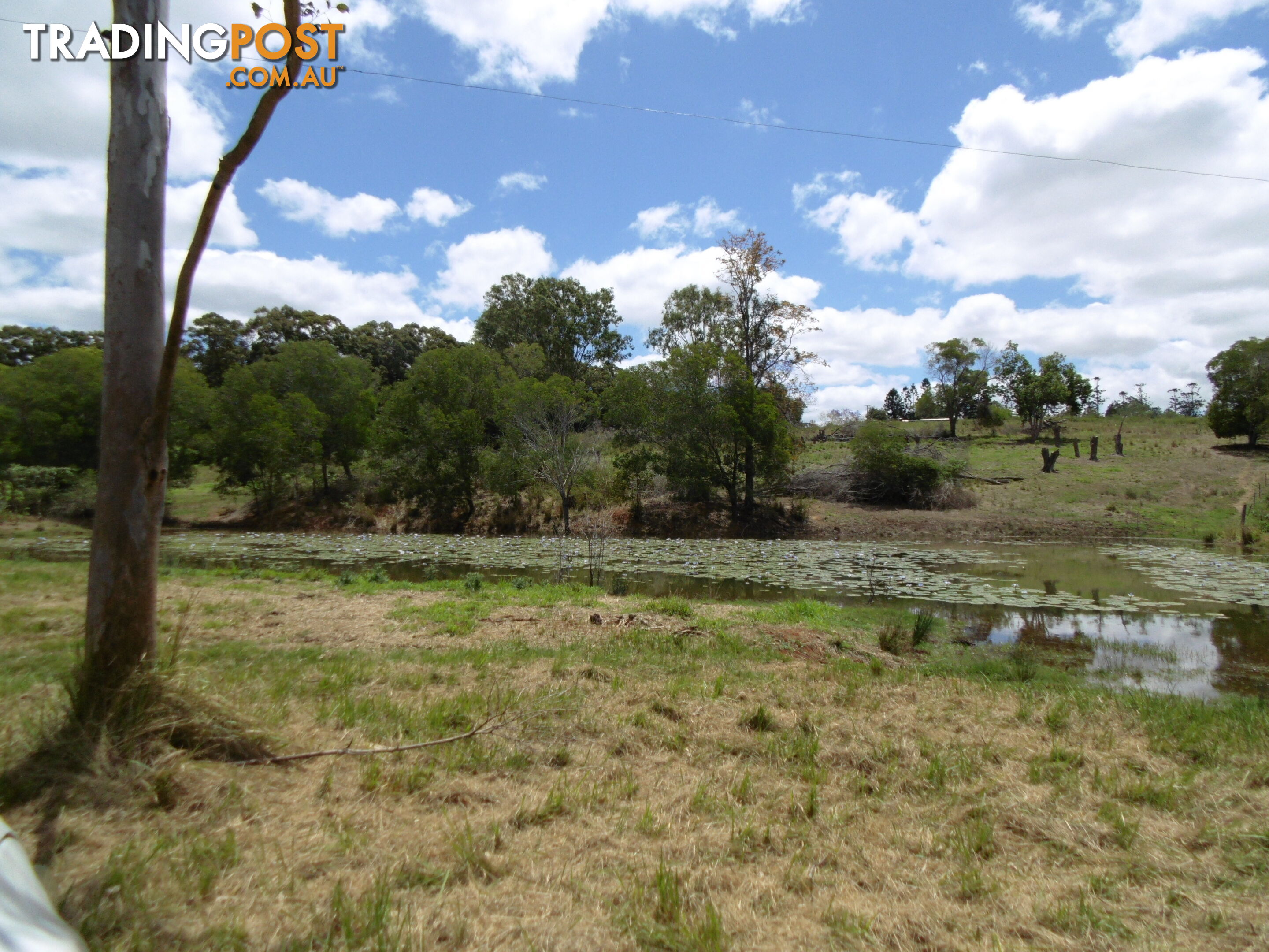 146 Old Creek Rd Childers QLD 4660