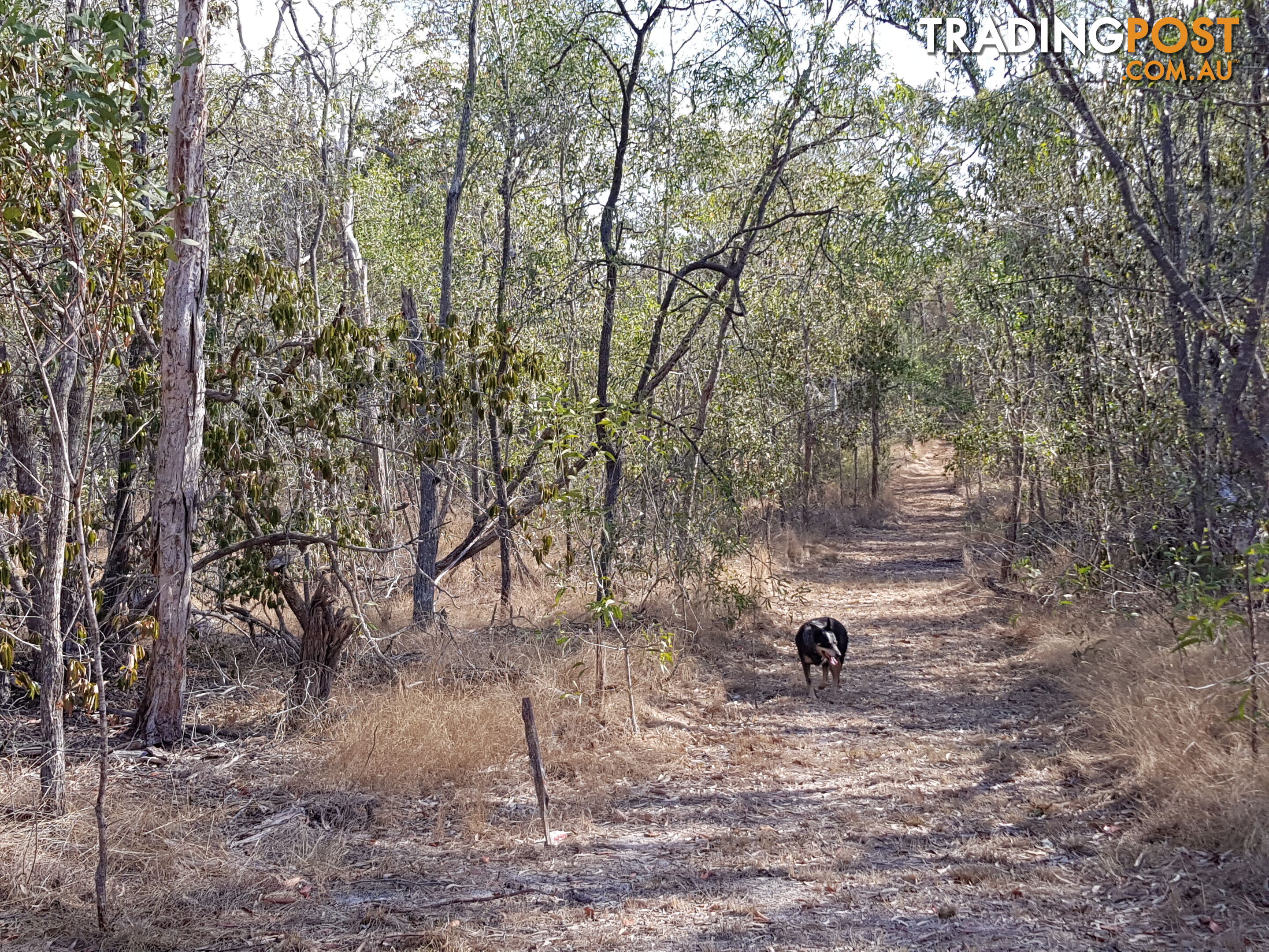 317 Adies Rd Isis Central QLD 4660