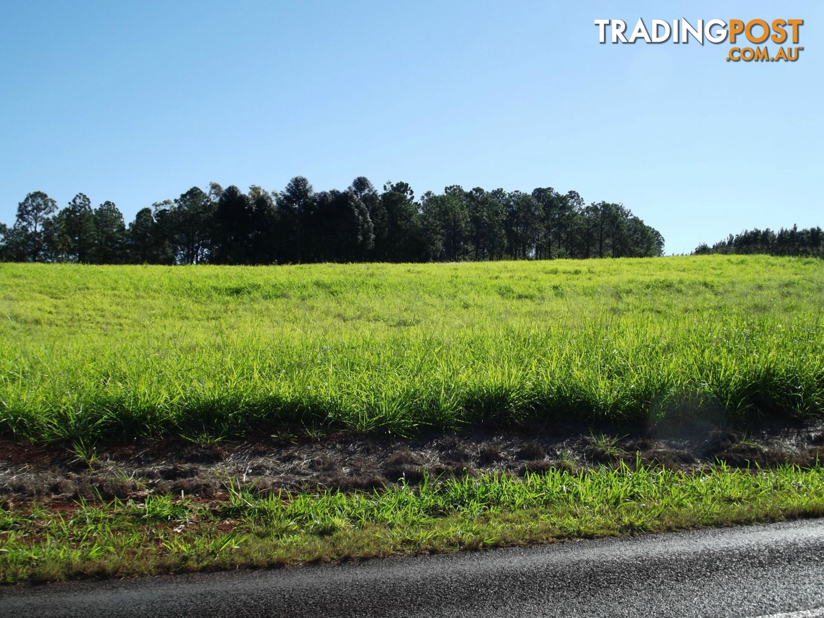 L21 Rainbows Road, Childers South Isis QLD 4660