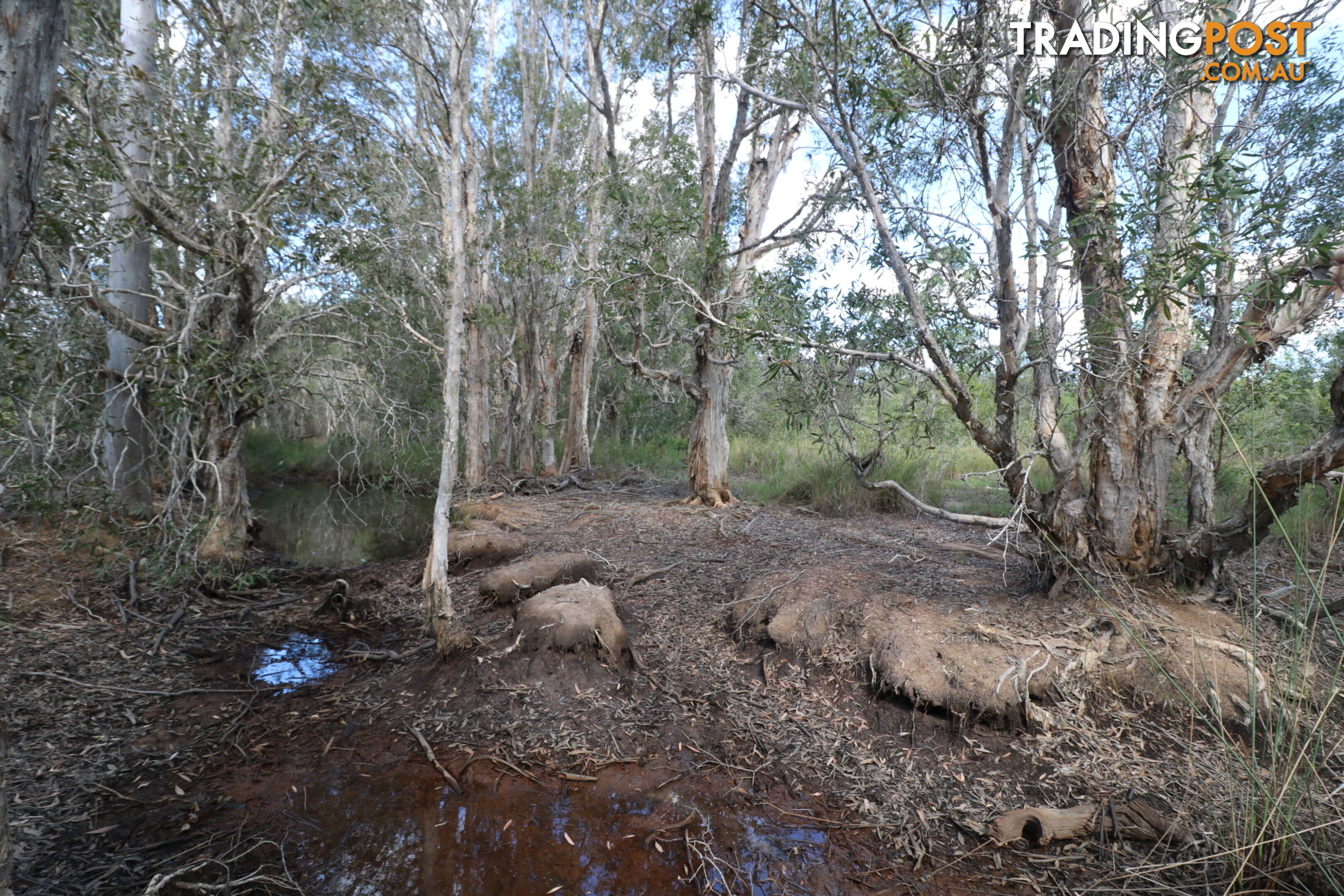 North Isis QLD 4660