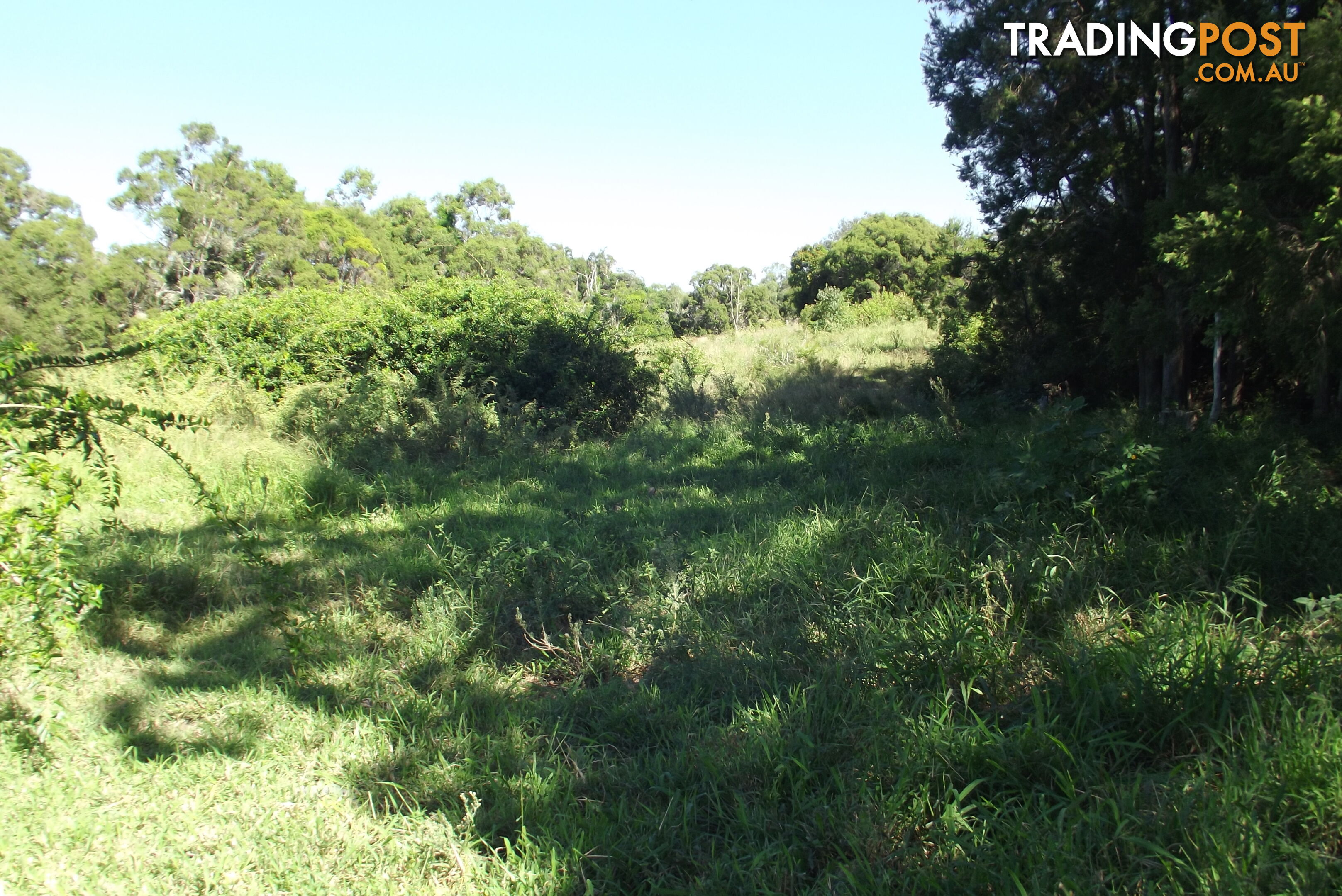 Lot 99 Wilsons Pitt Rd Dallarnil QLD 4621