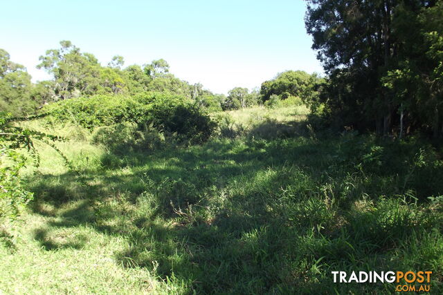 Lot 99 Wilsons Pitt Rd Dallarnil QLD 4621