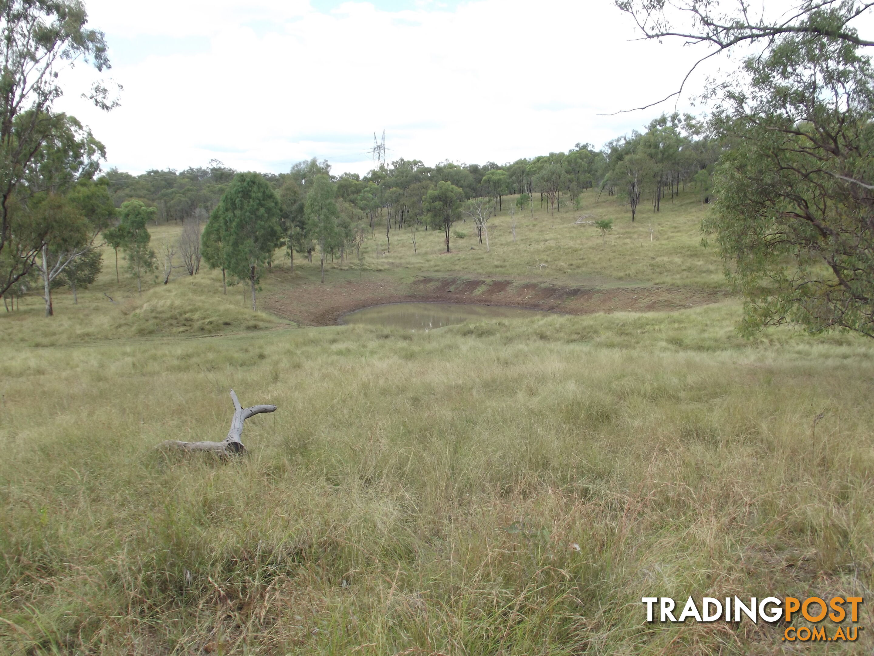 Golden Fleece QLD 4621