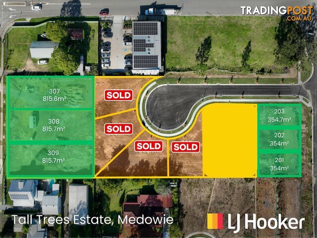 Lot 307-309 + 201-203/799 Medowie Road MEDOWIE NSW 2318