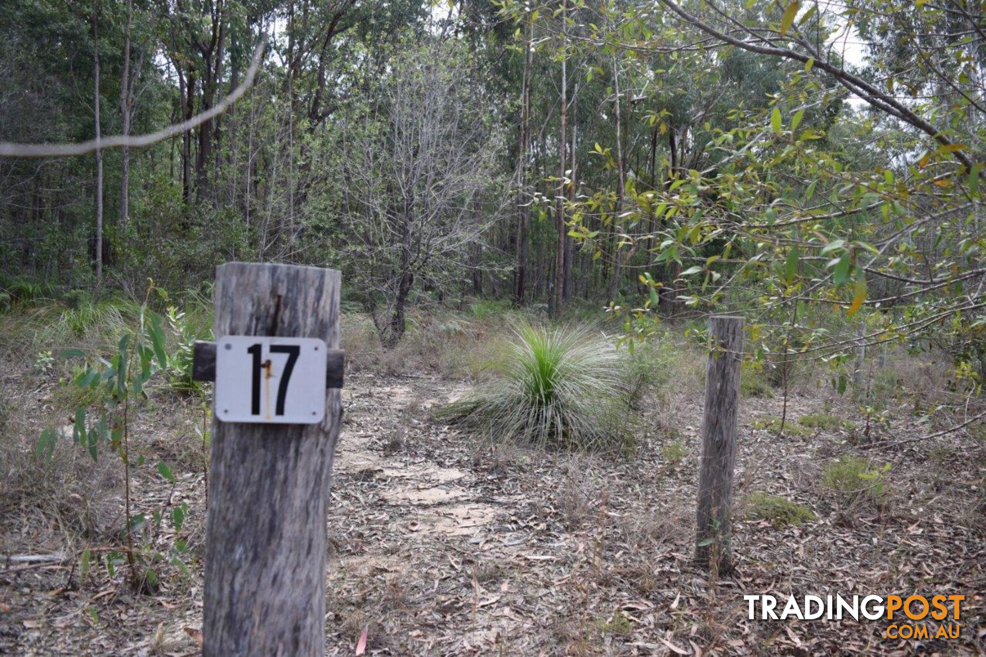 17 Betteridge Close THE PINNACLES NSW 2460