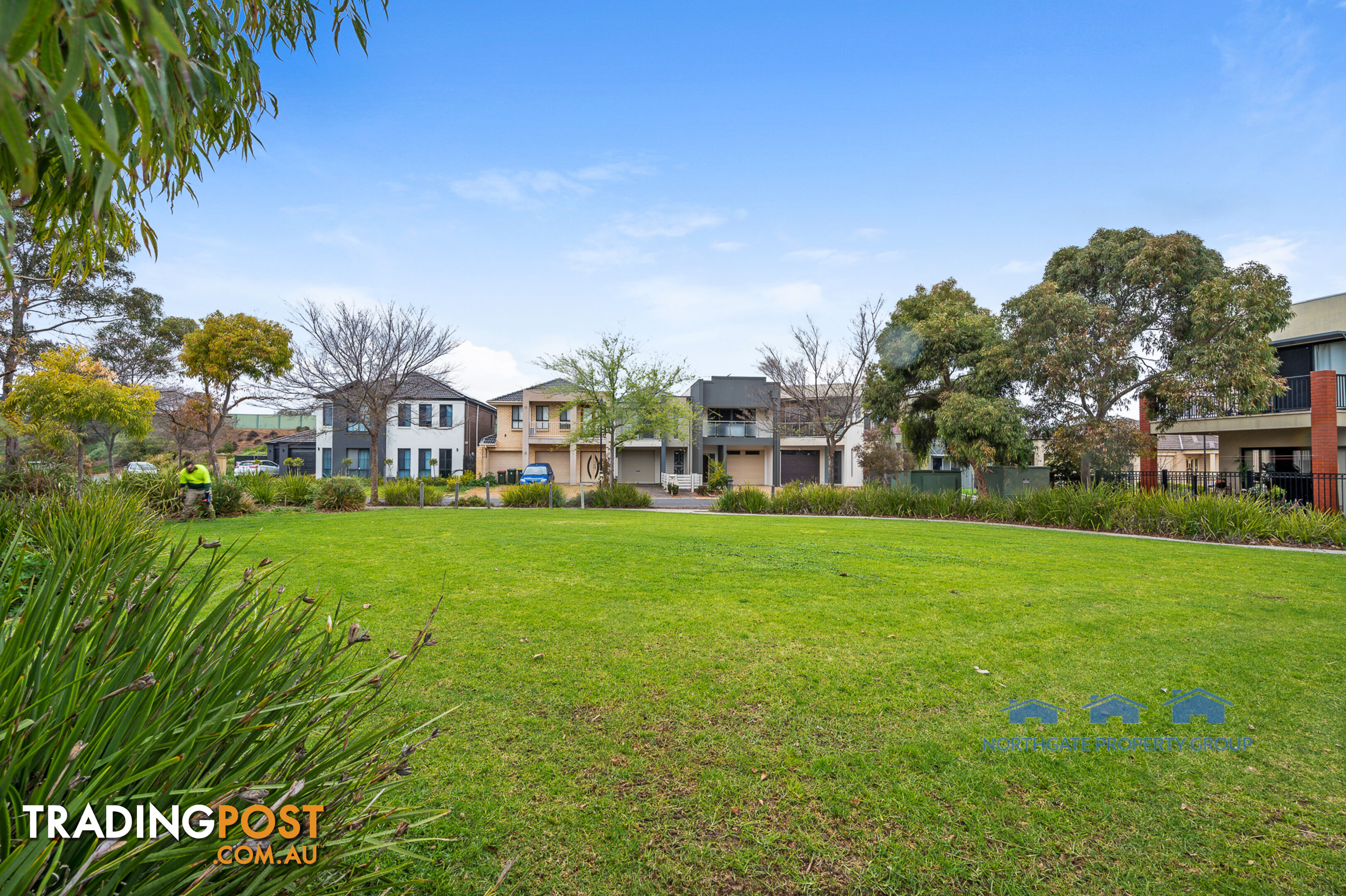 41 Macmillan Ave Mawson Lakes SA 5095