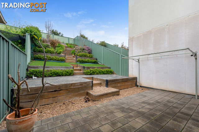 41 Macmillan Ave Mawson Lakes SA 5095