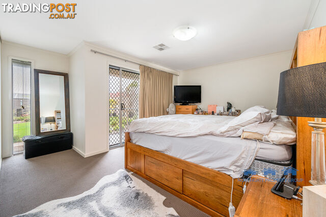 41 Macmillan Ave Mawson Lakes SA 5095