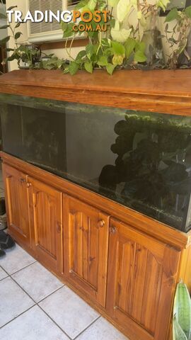 5 ft fish tank with hood and stand