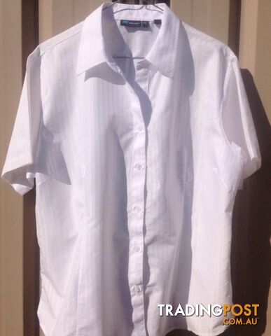 New White Shirt