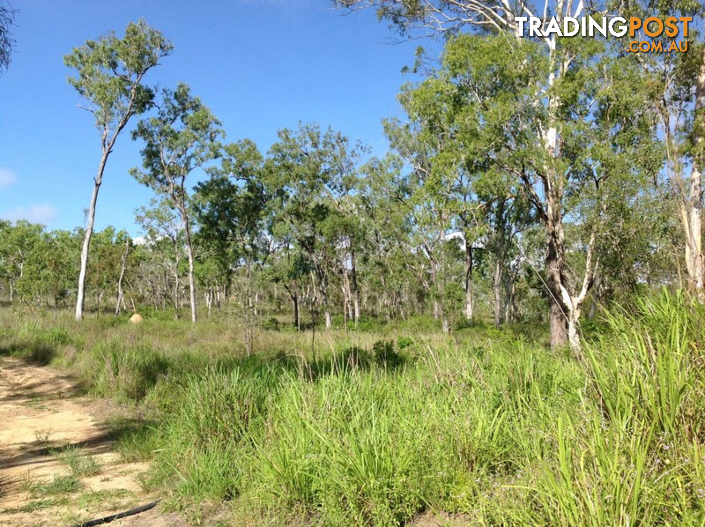 219 Godfrey Road MAREEBA QLD 4880