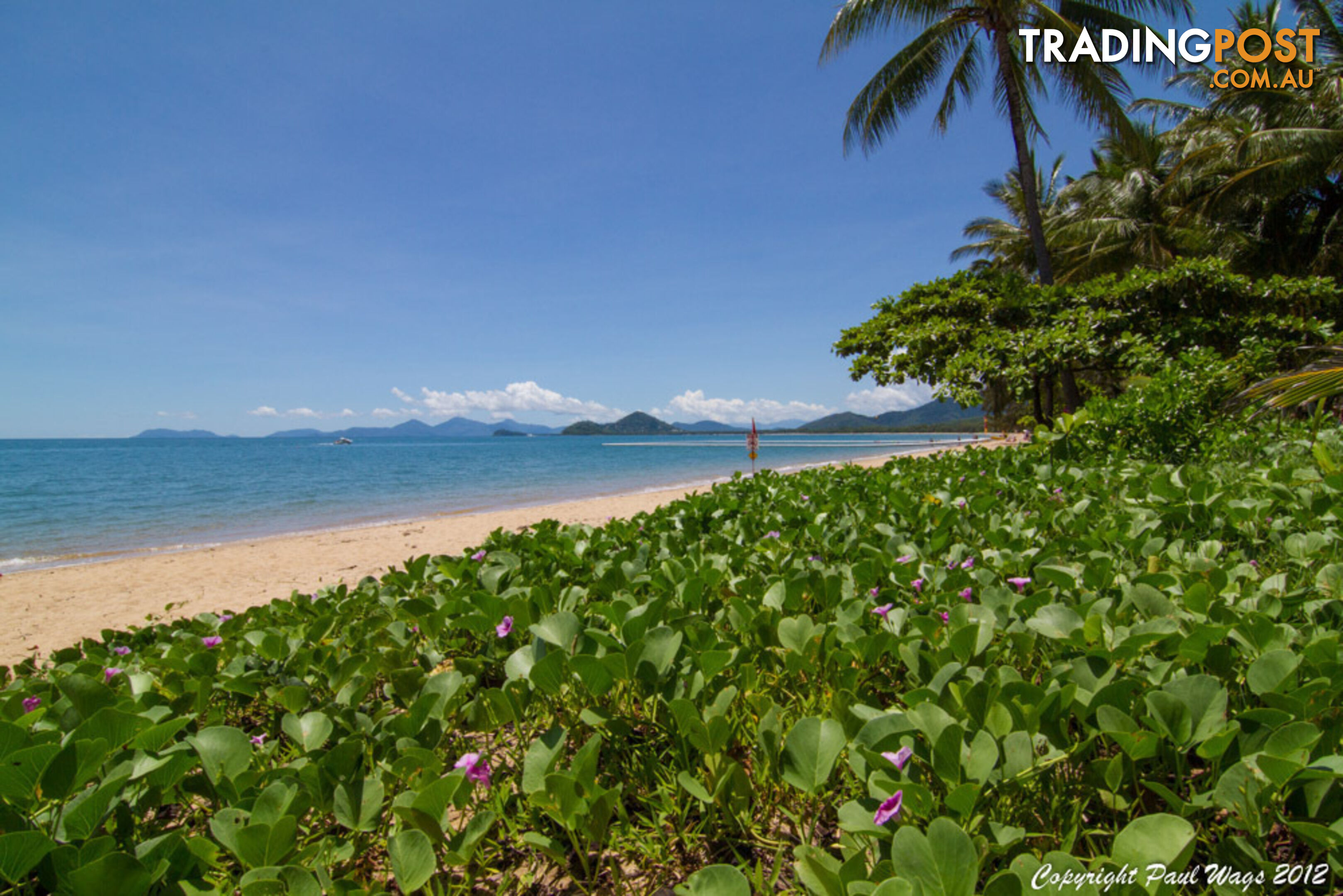 8 Seclusion Drive Palm Cove PALM COVE QLD 4879