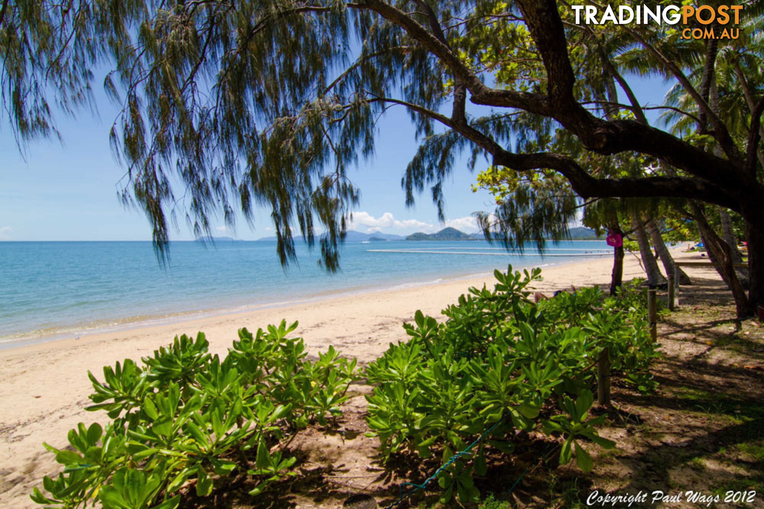 8 Seclusion Drive Palm Cove PALM COVE QLD 4879