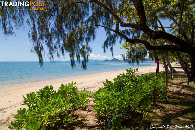 8 Seclusion Drive Palm Cove PALM COVE QLD 4879