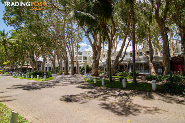 8 Seclusion Drive Palm Cove PALM COVE QLD 4879