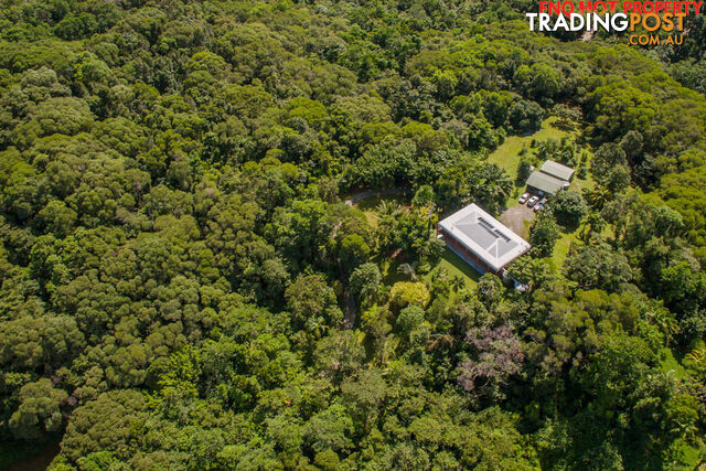 122 Forest Creek Road DAINTREE QLD 4873