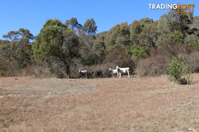 Lot 119 Nottingham Road WEE JASPER NSW 2582