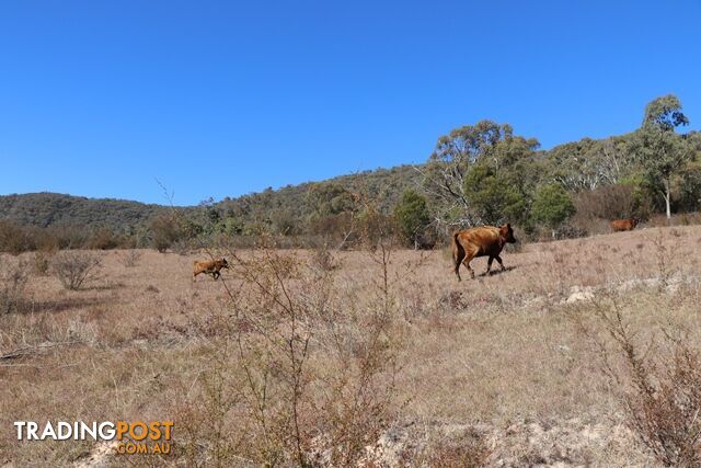 Lot 119 Nottingham Road WEE JASPER NSW 2582