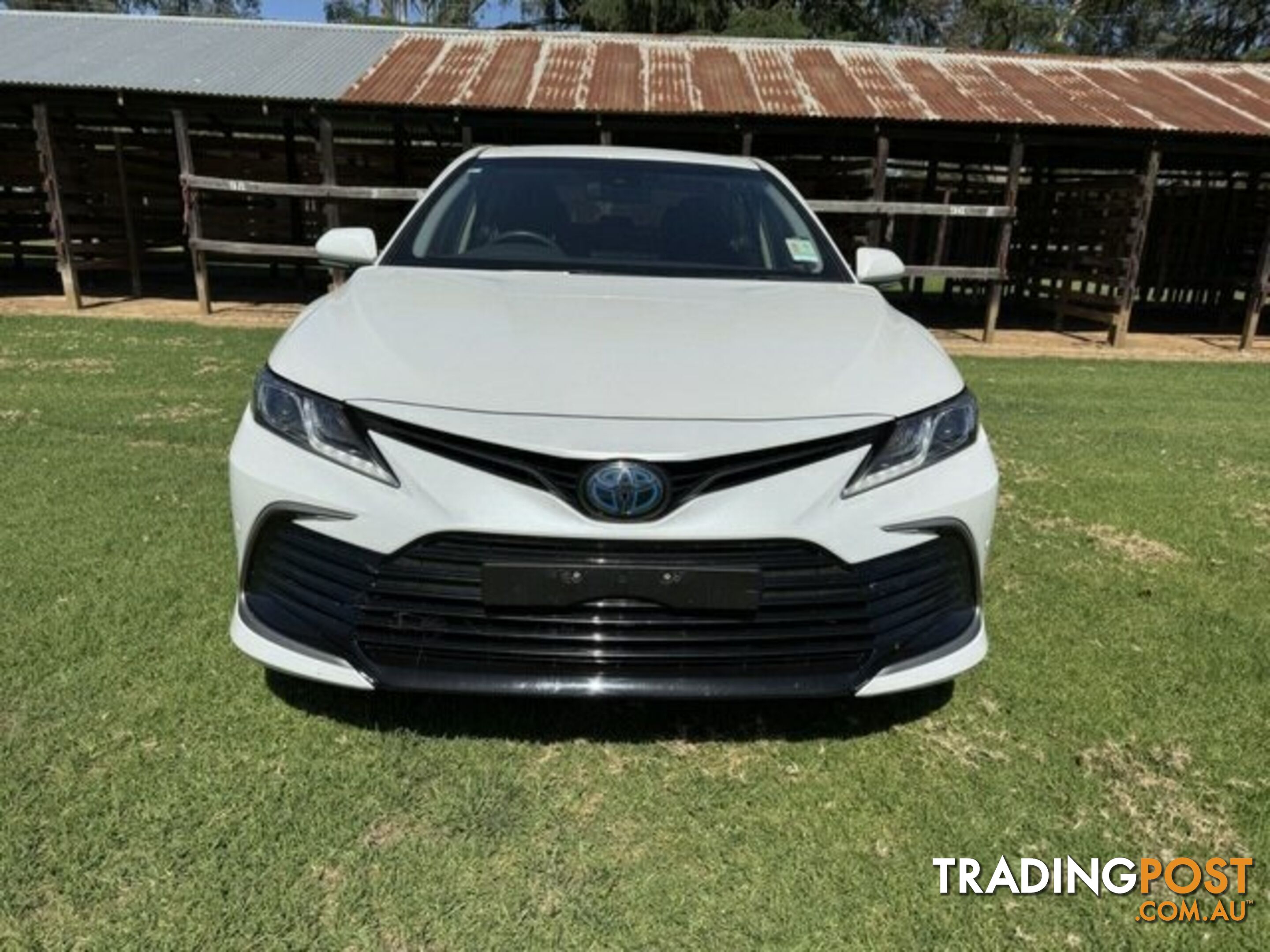 2021 TOYOTA CAMRY  HYBRID SEDAN