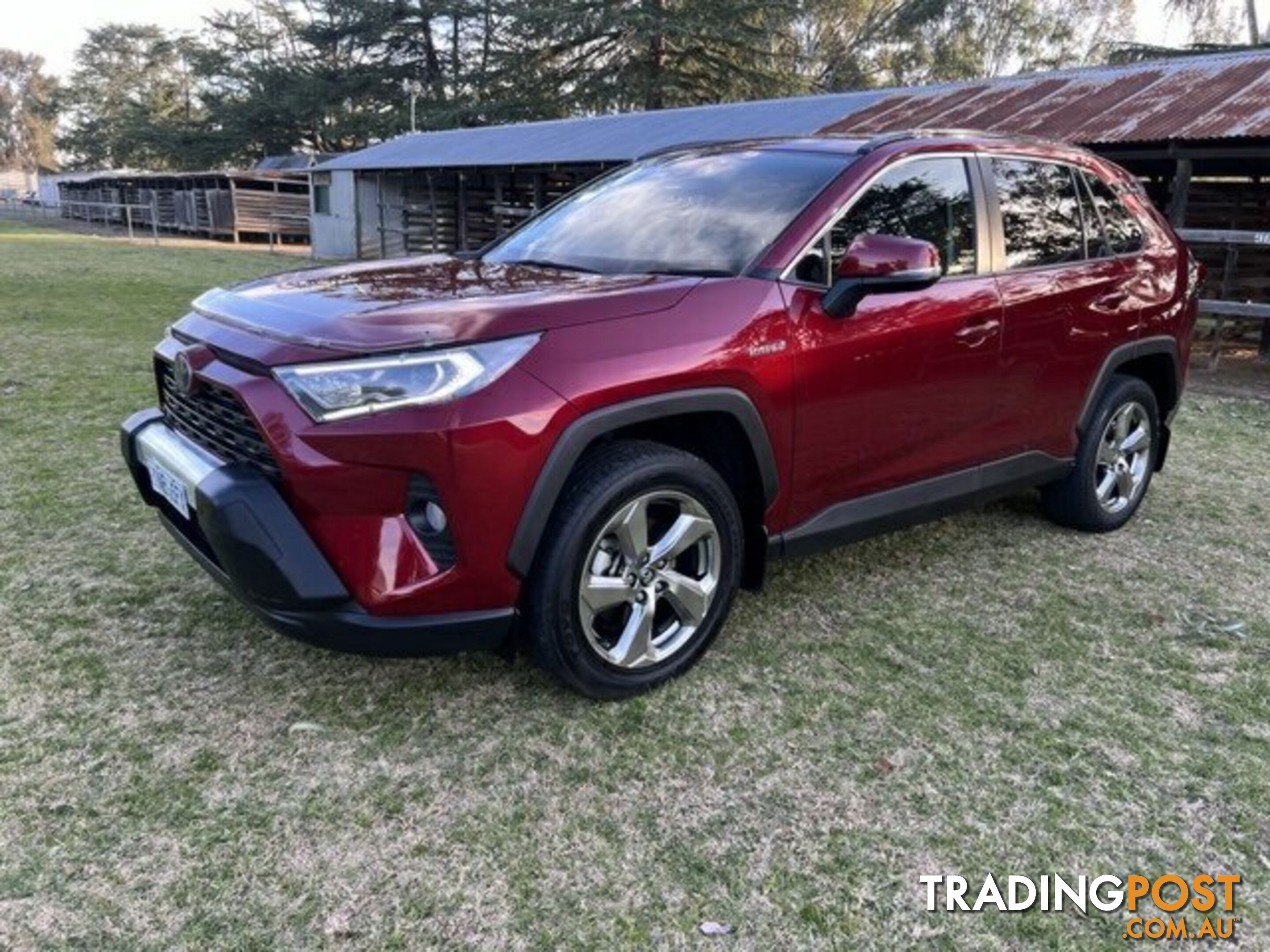 2019 TOYOTA RAV4  GXL WAGON