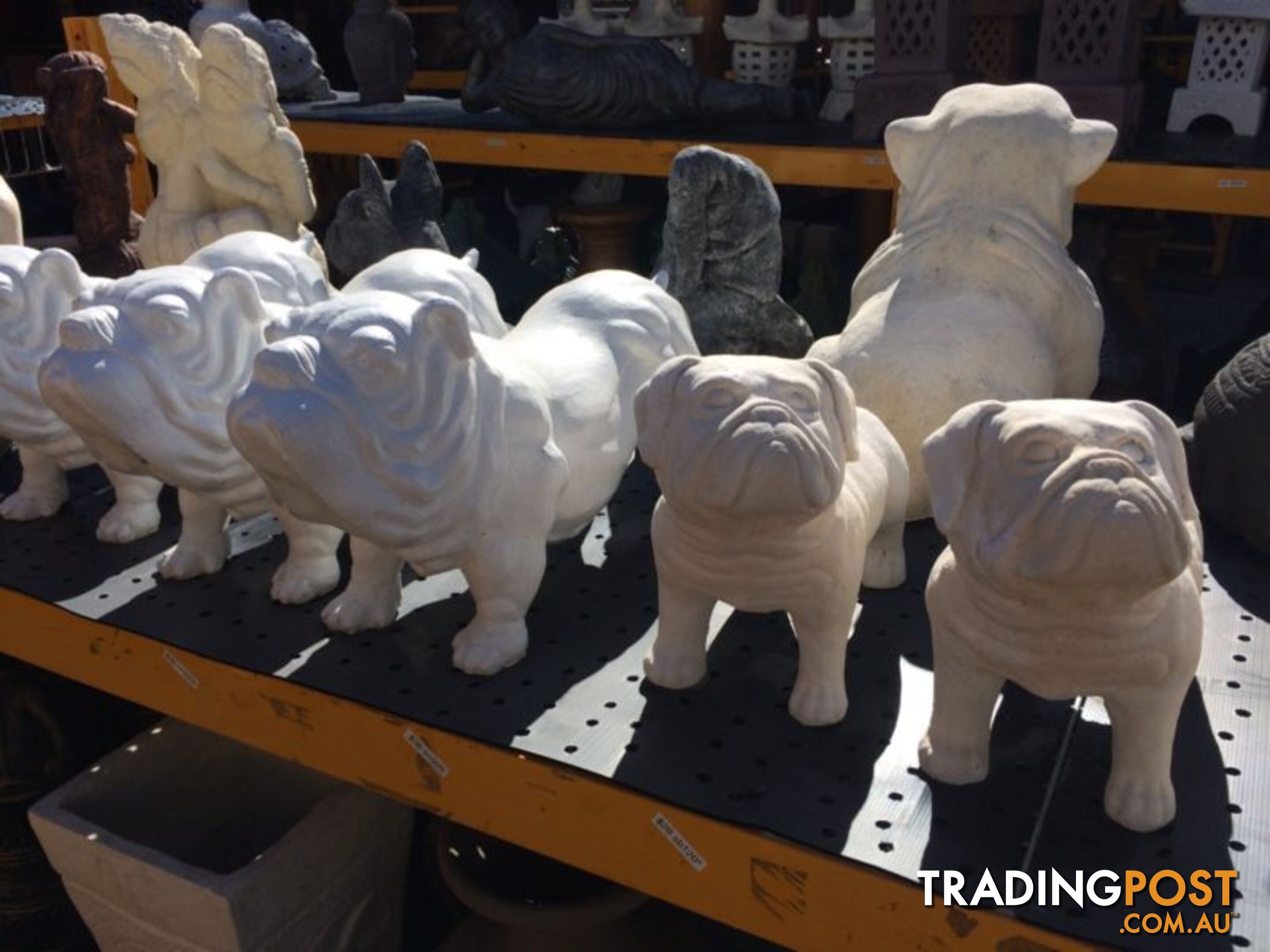 STATUE ANIMAL STANDING BULLDOG 60x32x22cmÂ ( WHT)