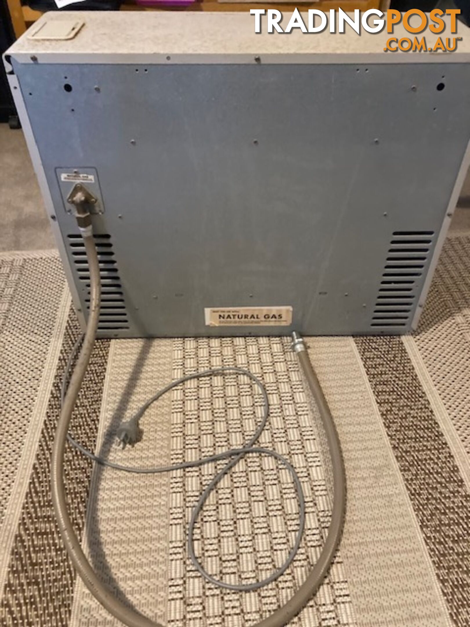 Rinnai Natural Gas heater