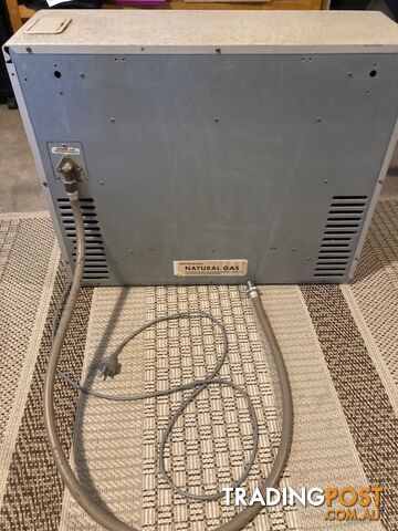 Rinnai Natural Gas heater