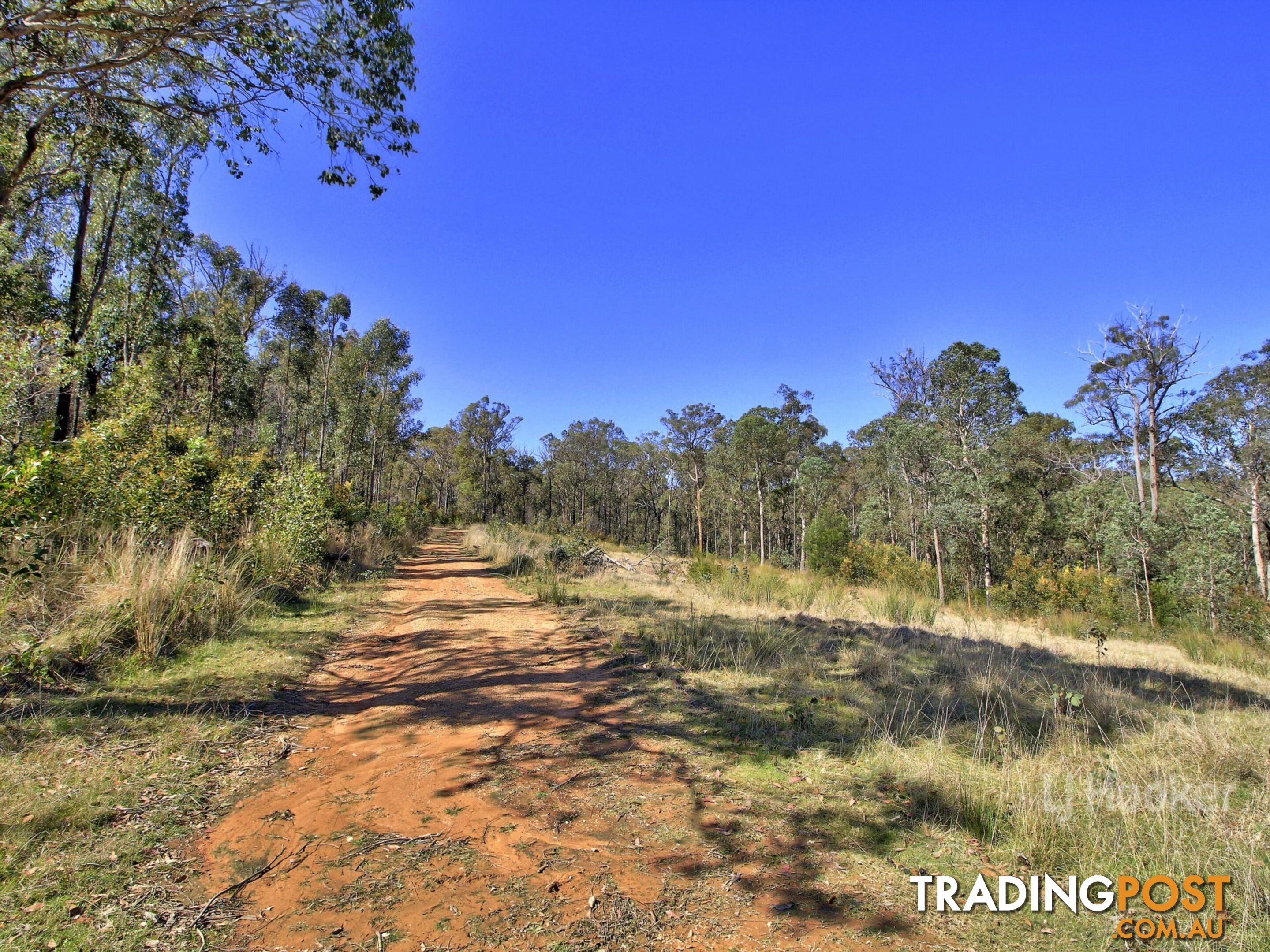 875 Waterholes Road CLIFTON CREEK VIC 3875