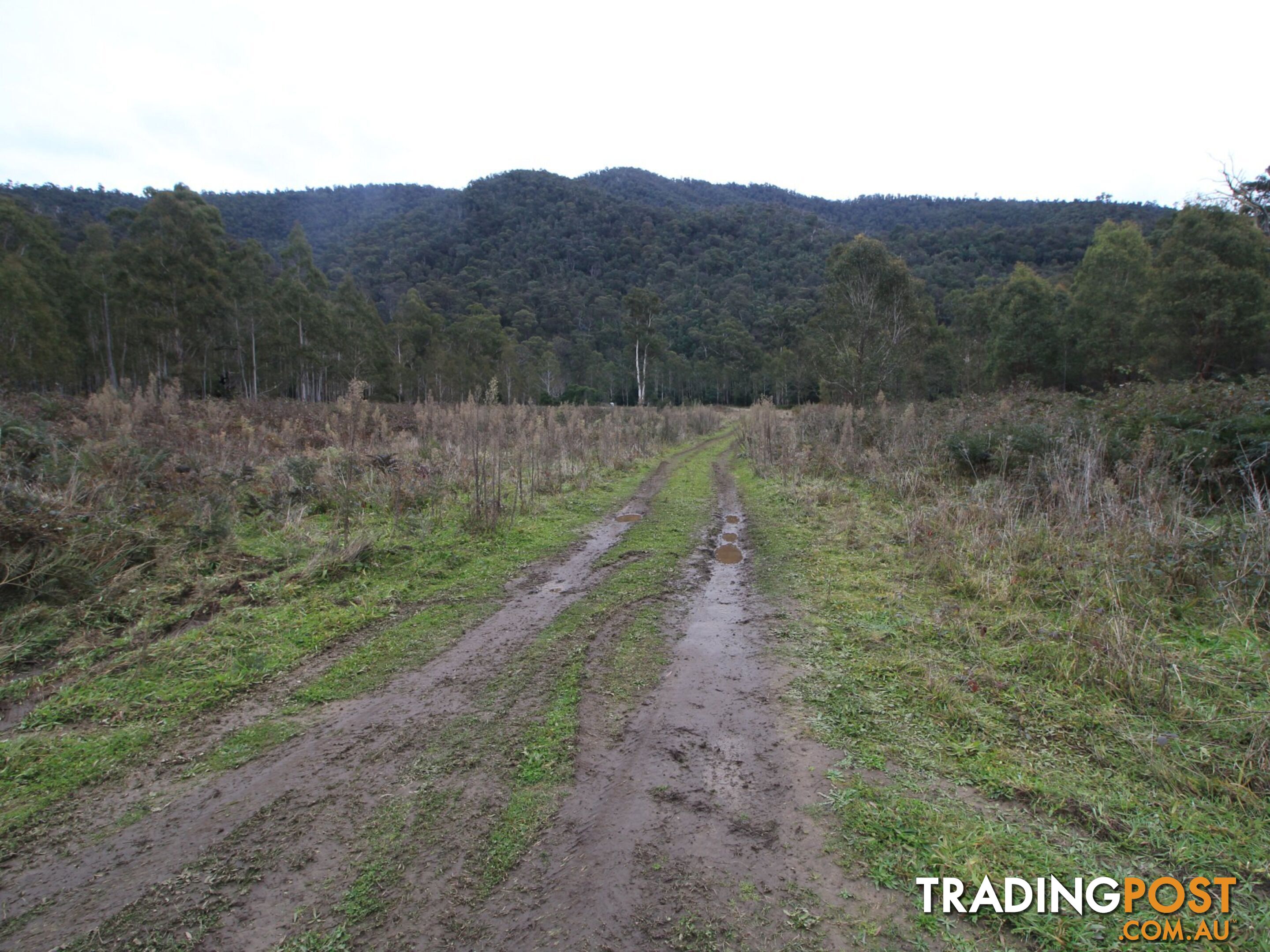 CA2 Upper Dargo Road DARGO VIC 3862