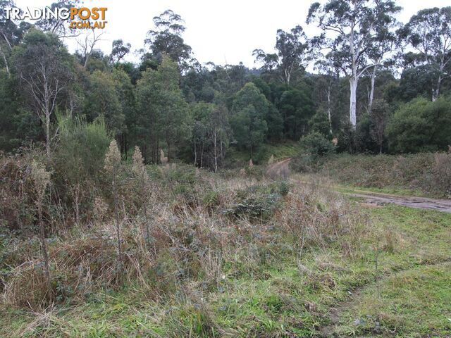 CA2 Upper Dargo Road DARGO VIC 3862