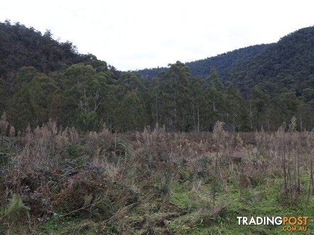 CA2 Upper Dargo Road DARGO VIC 3862