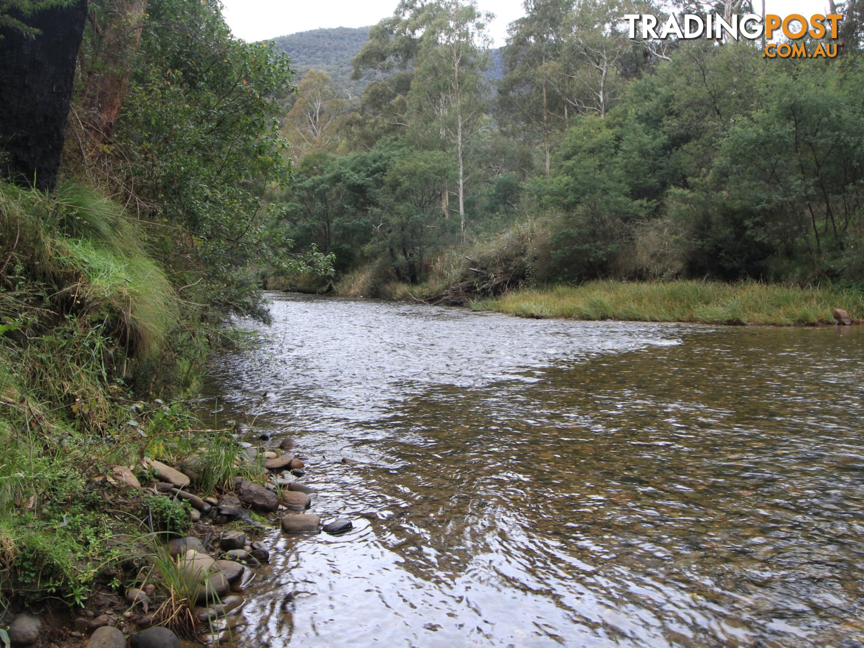 CA2 Upper Dargo Road DARGO VIC 3862