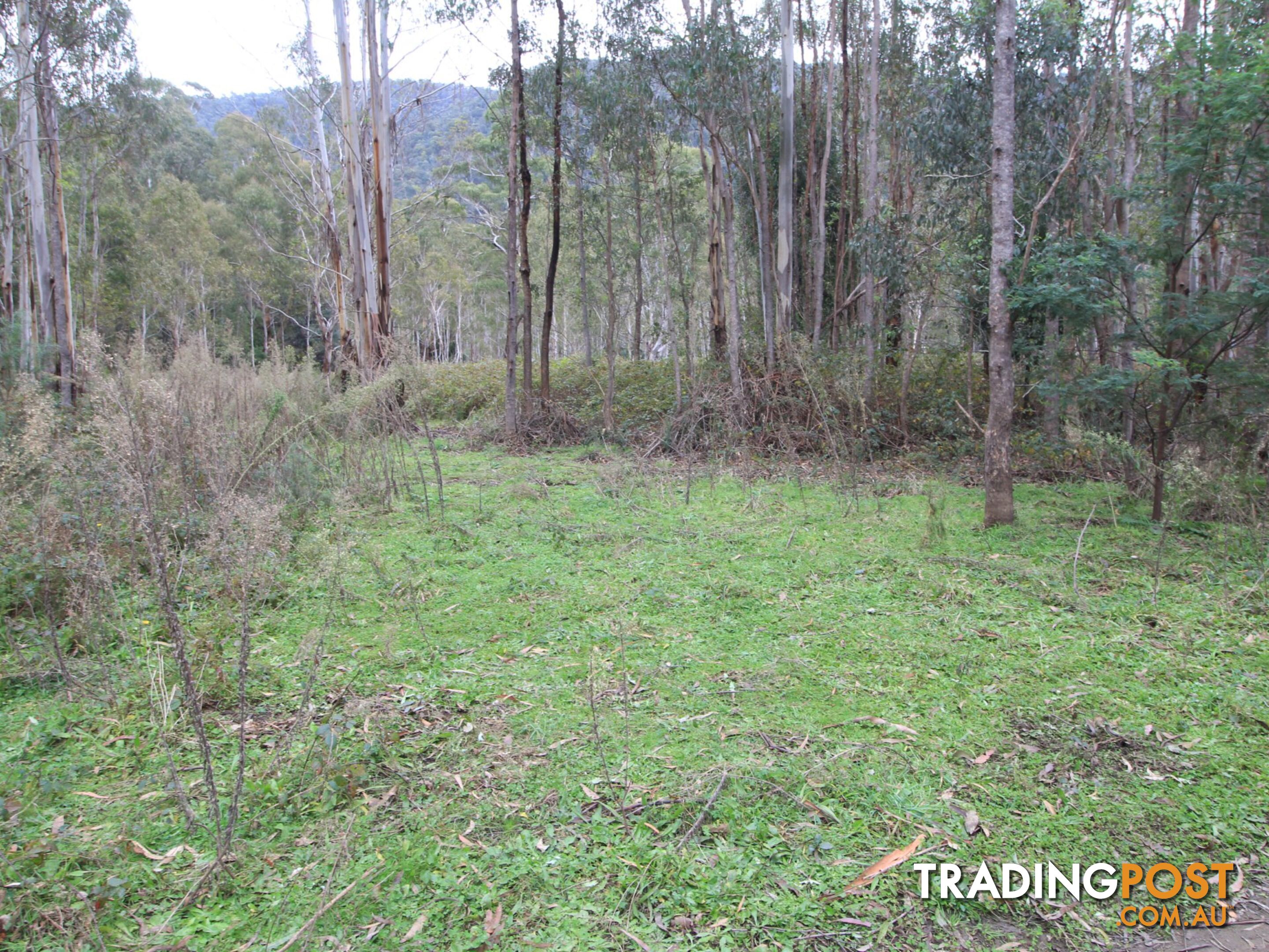 CA2 Upper Dargo Road DARGO VIC 3862