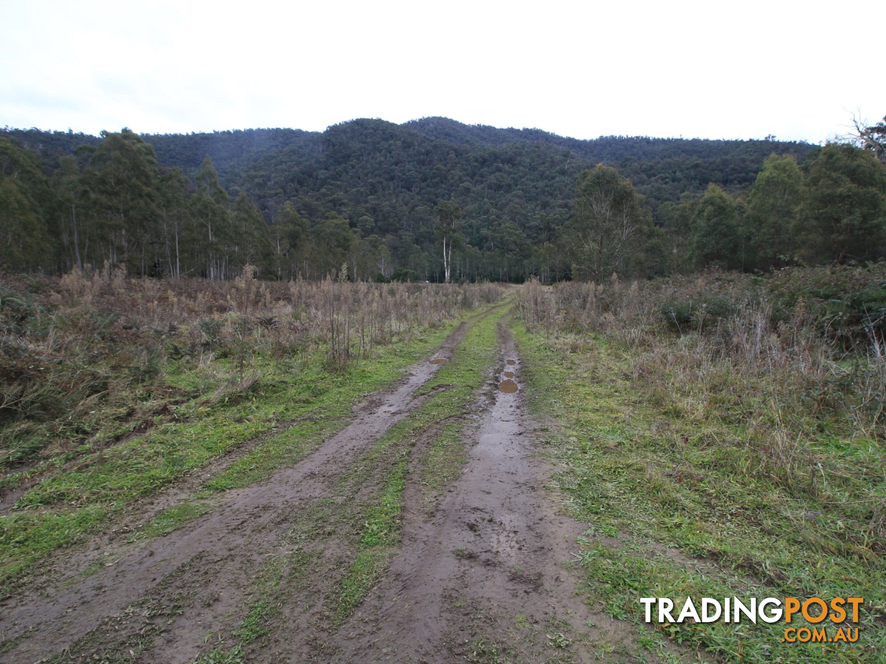 CA2 Upper Dargo Road DARGO VIC 3862