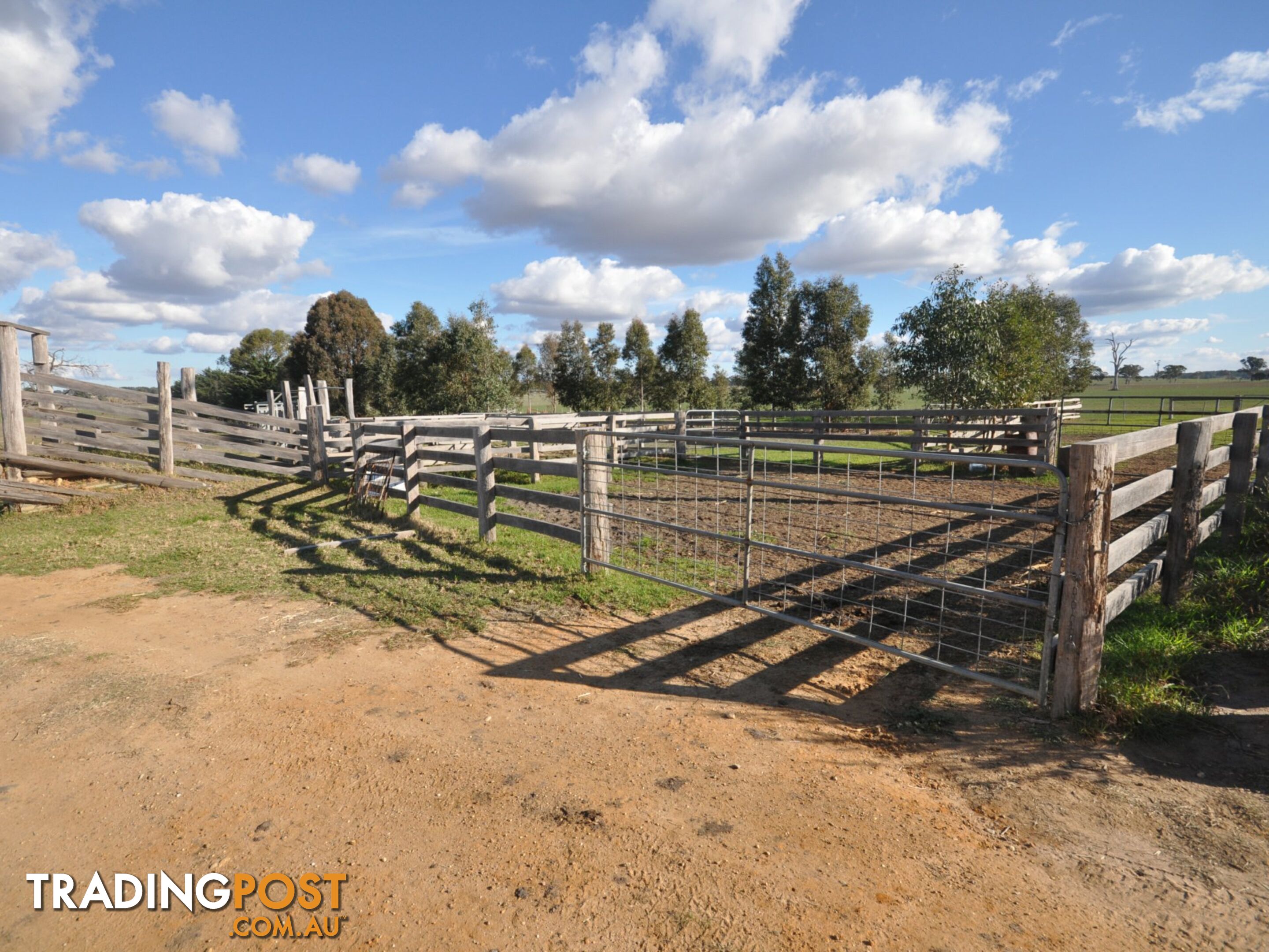 555 Baudinetts Road LINDENOW SOUTH VIC 3875