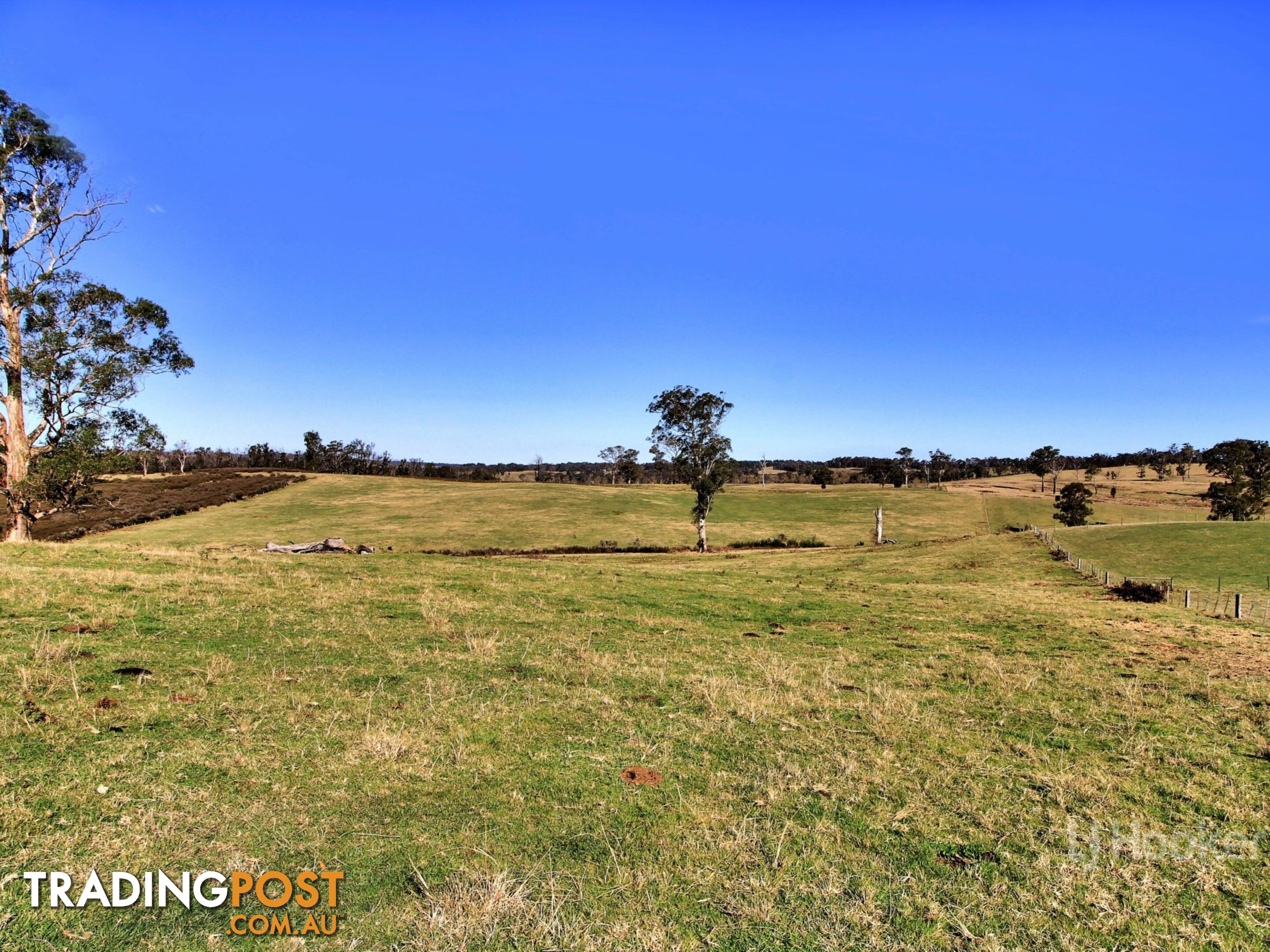 1738 Great Alpine Road SARSFIELD VIC 3875