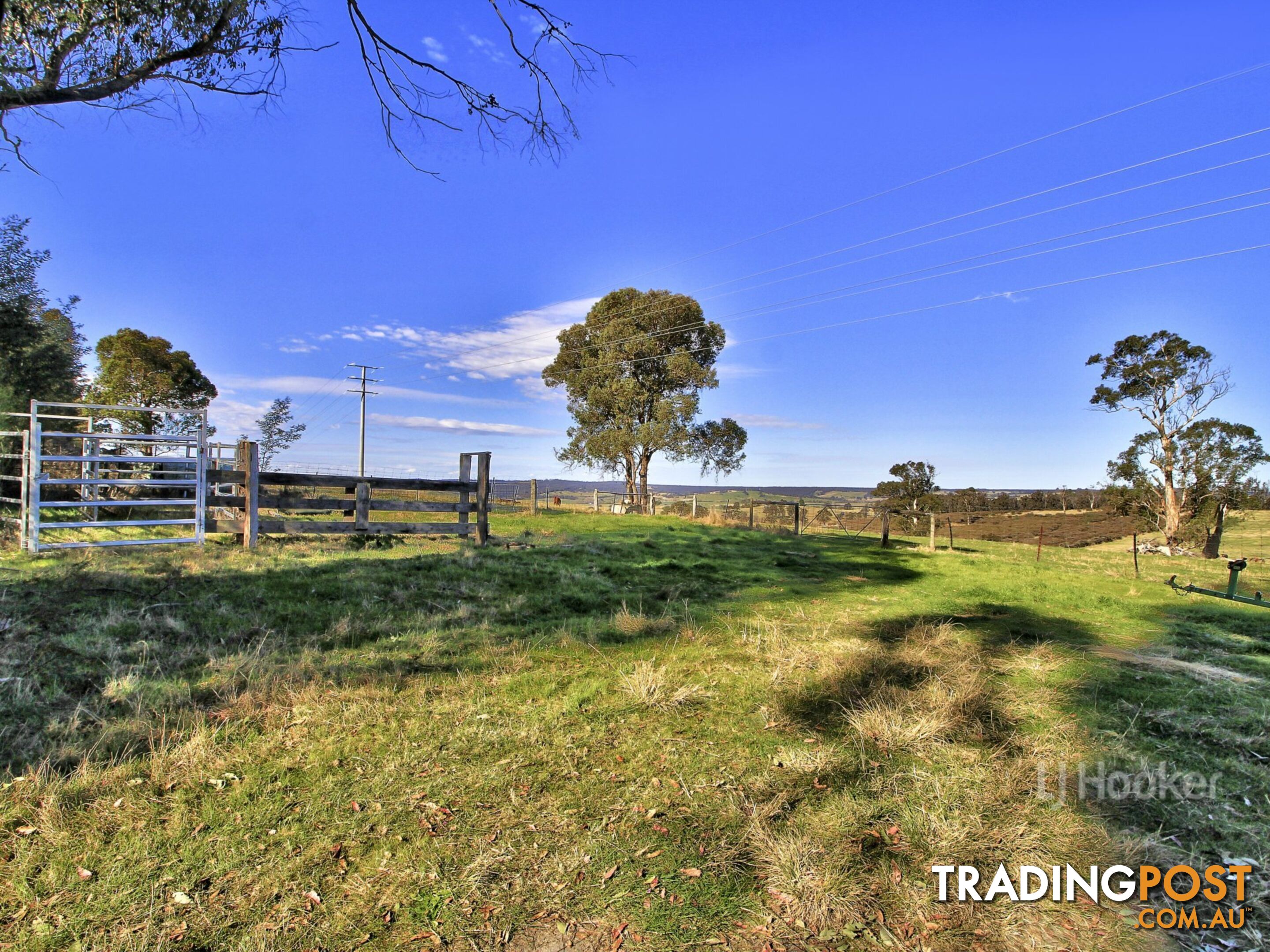 1738 Great Alpine Road SARSFIELD VIC 3875