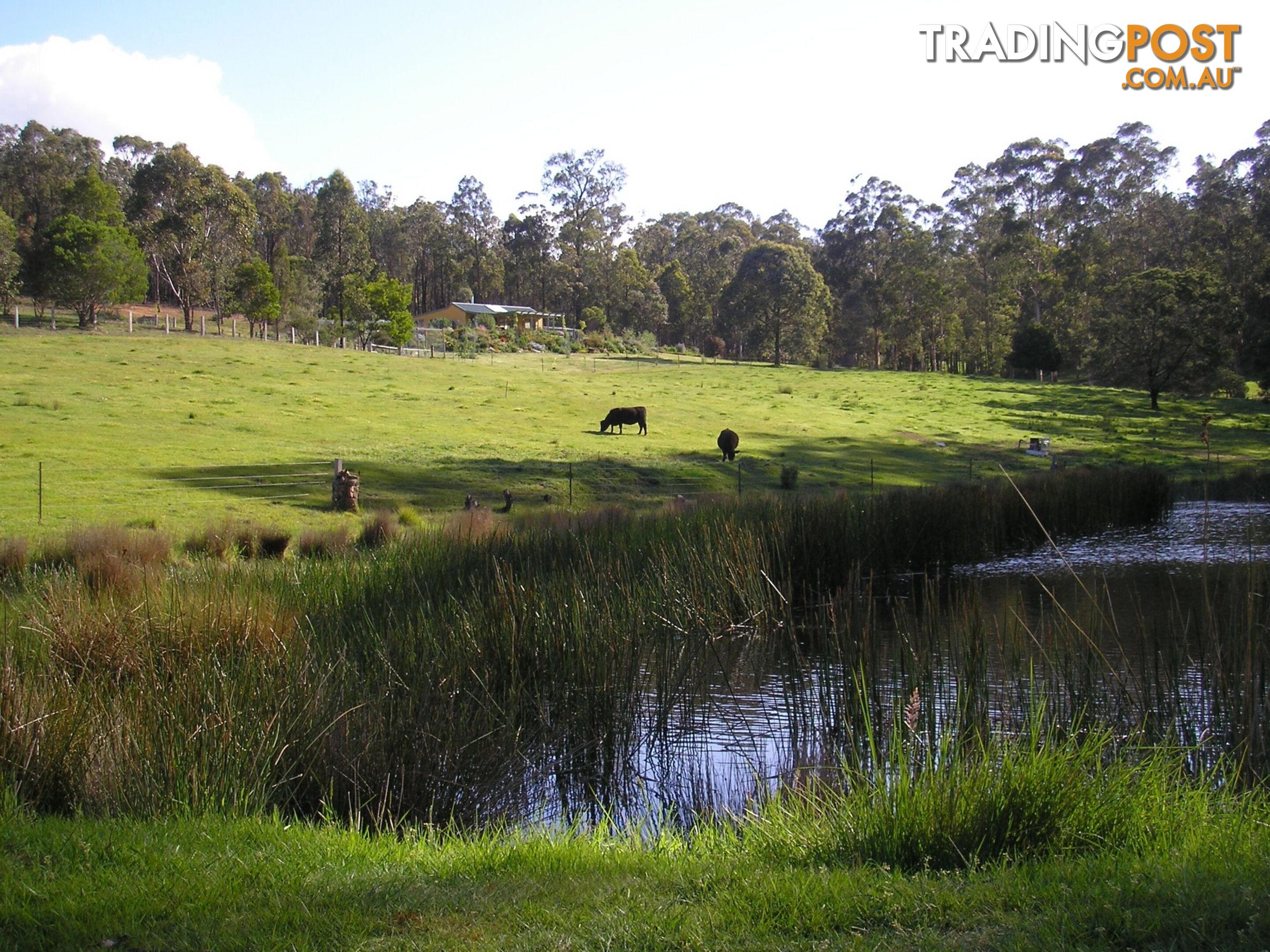 500 Bellbird Road CLIFTON CREEK VIC 3875